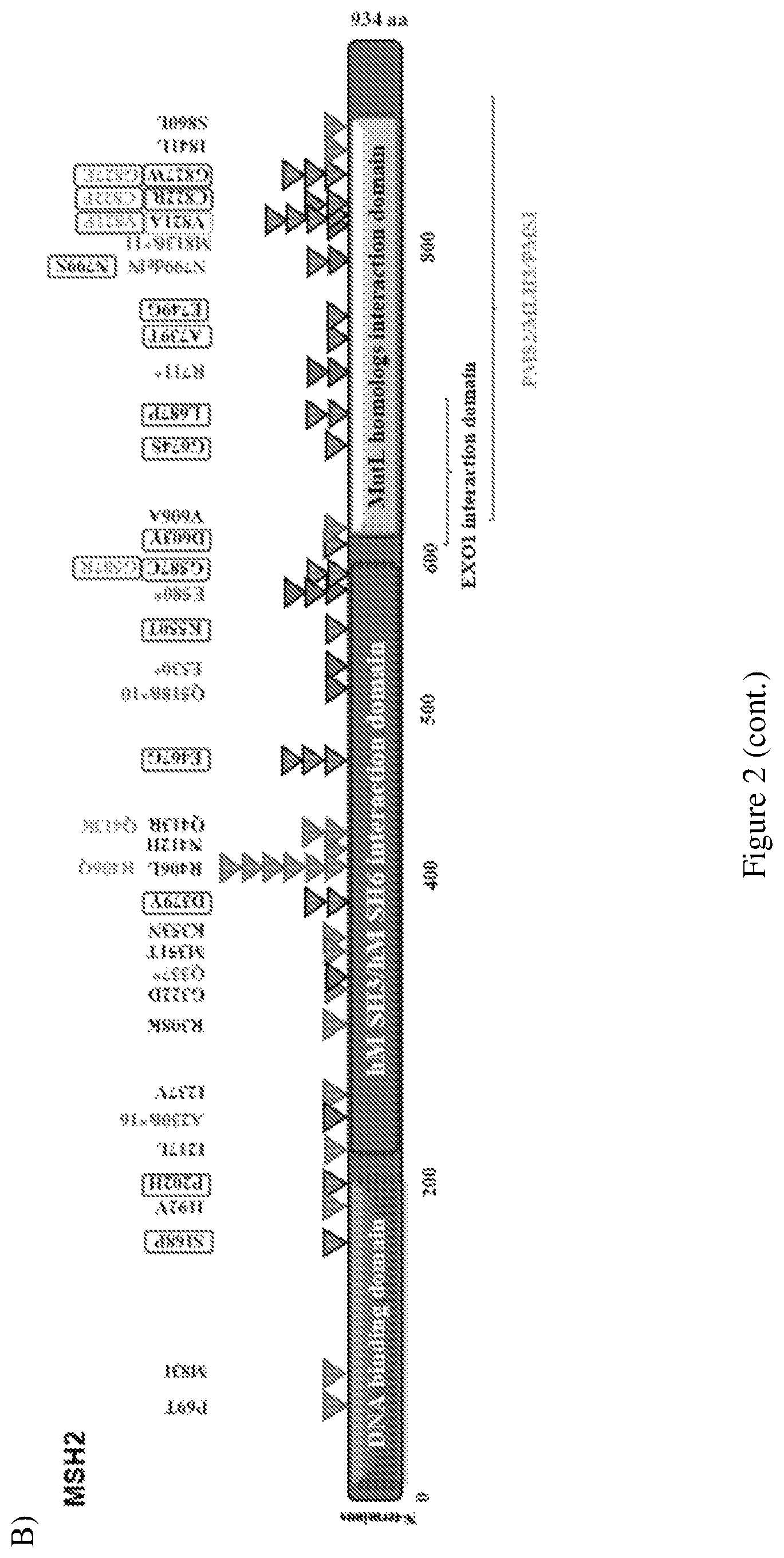 Patent US12098428 Figure 6 – Frequent EGFR and NTRK somatic mutations in colorectal cancer (CRC) with microsatellite instability (MSI)