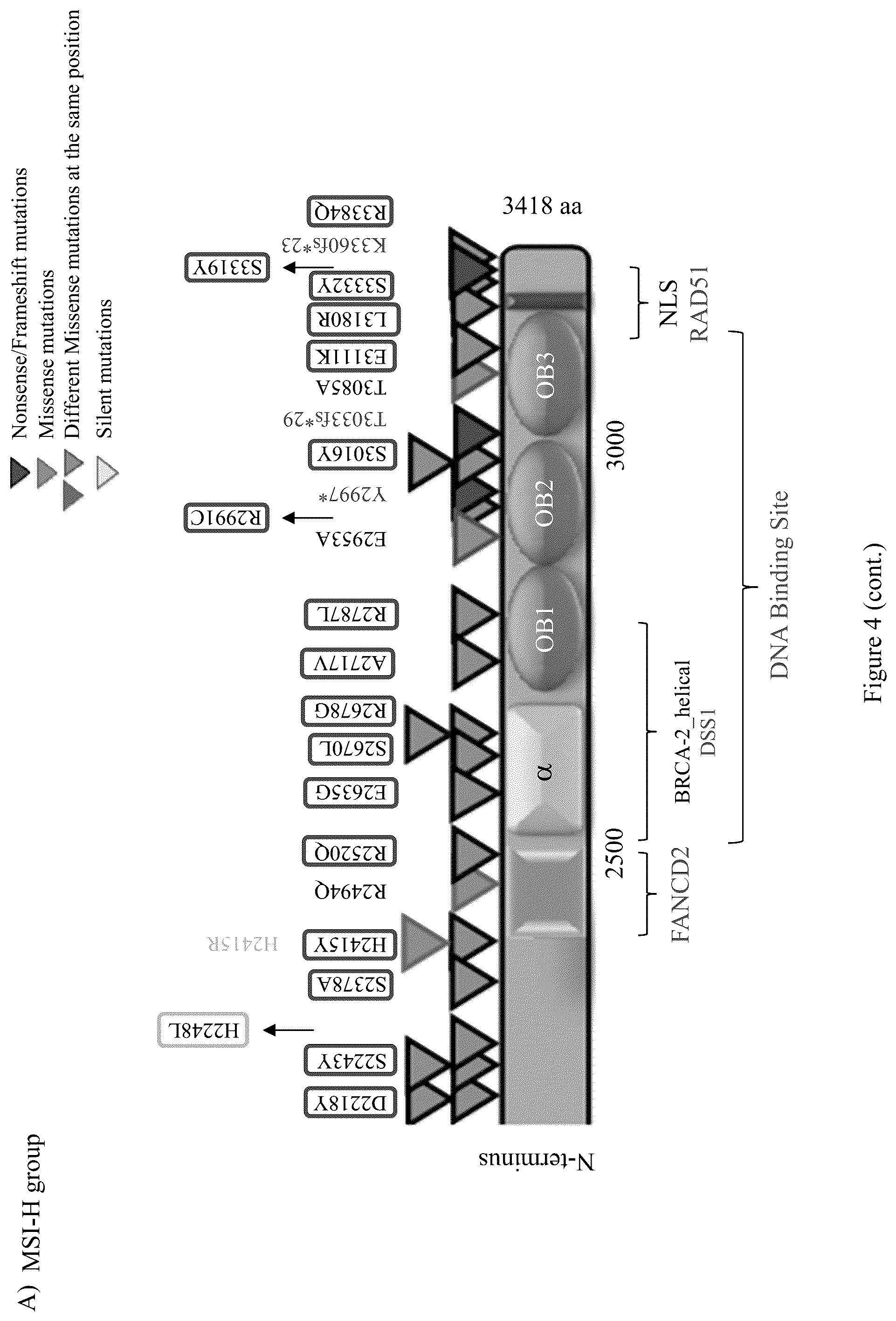 Patent US12098428 Figure 11 – Frequent EGFR and NTRK somatic mutations in colorectal cancer (CRC) with microsatellite instability (MSI)
