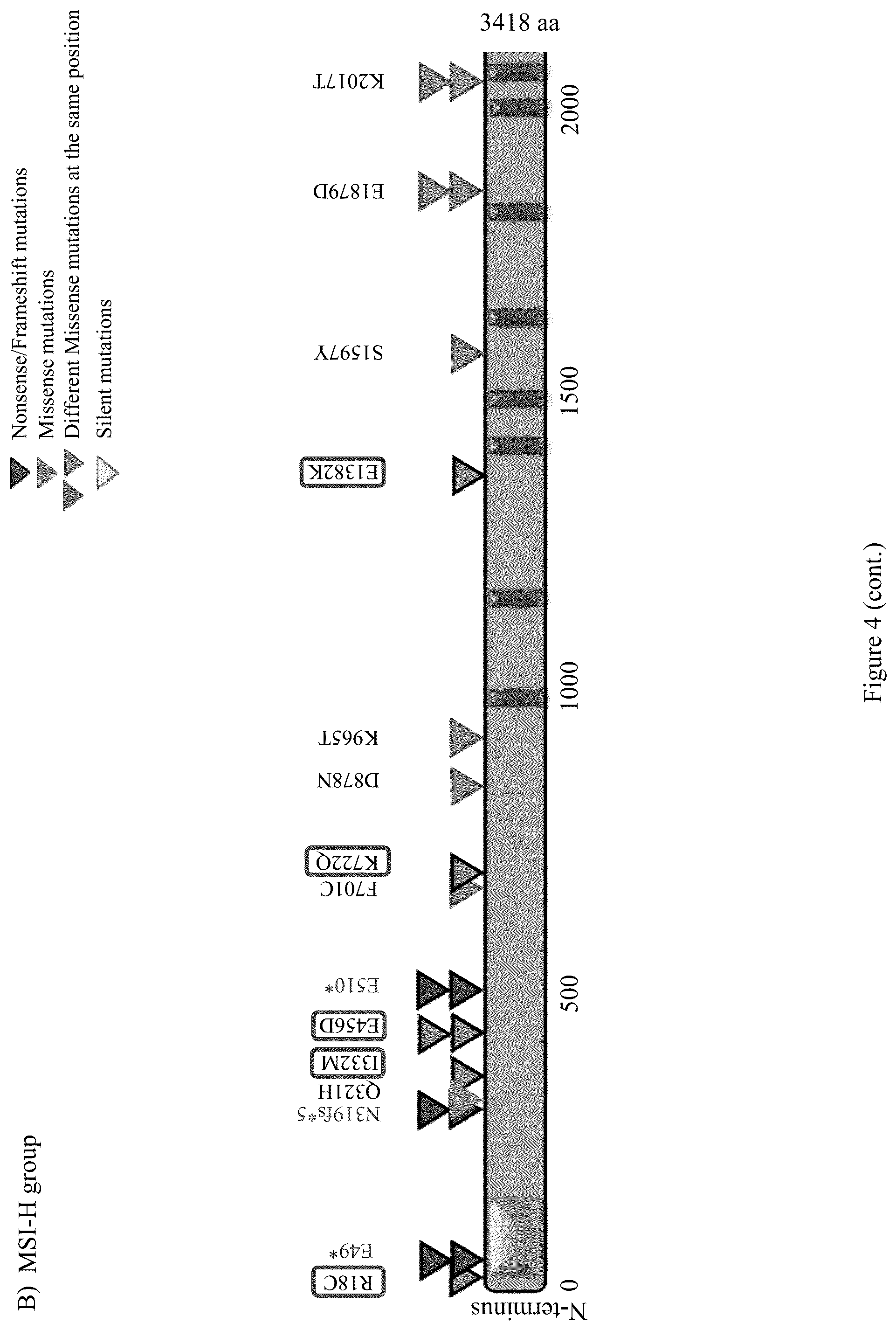 Patent US12098428 Figure 14 – Frequent EGFR and NTRK somatic mutations in colorectal cancer (CRC) with microsatellite instability (MSI)