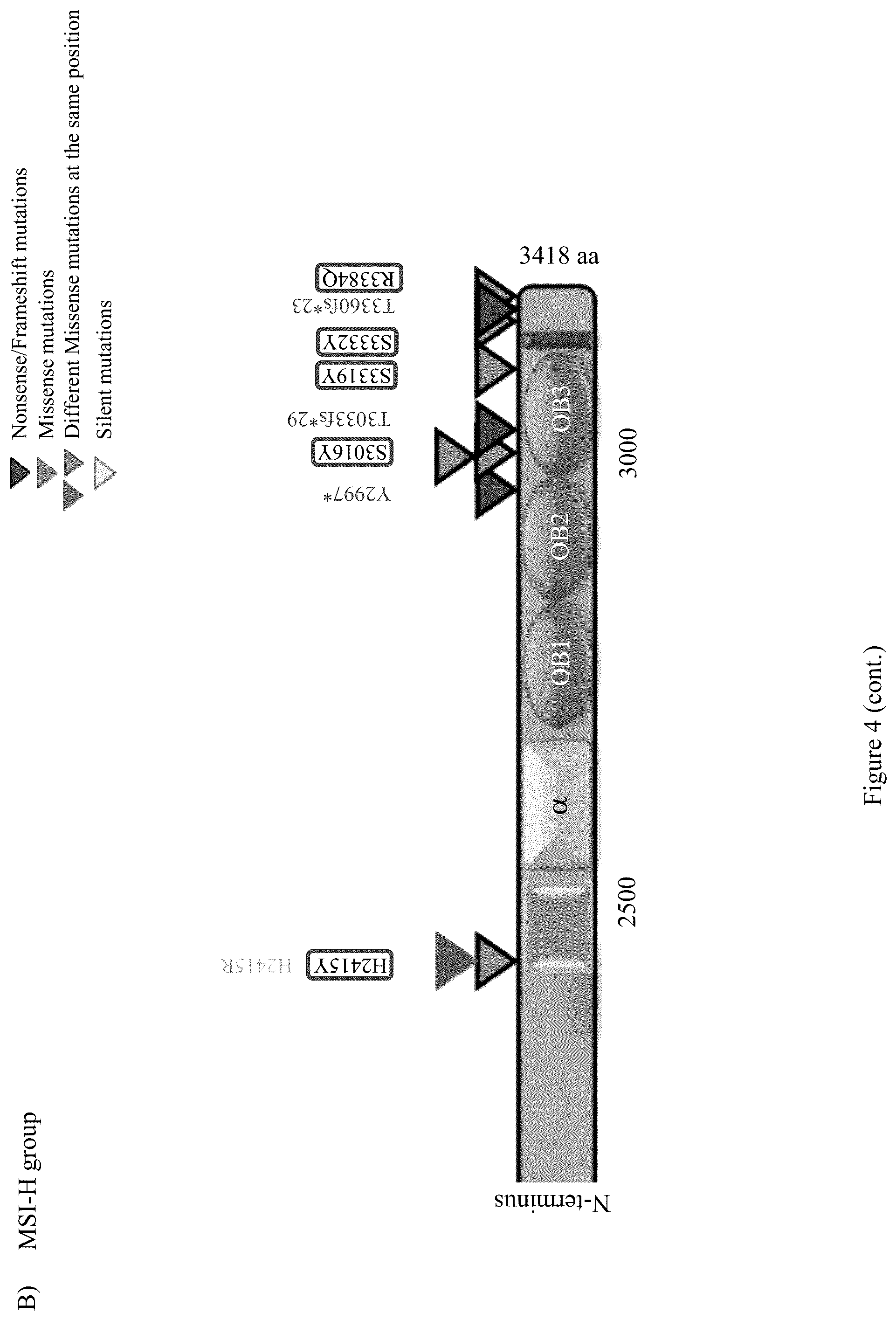 Patent US12098428 Figure 15 – Frequent EGFR and NTRK somatic mutations in colorectal cancer (CRC) with microsatellite instability (MSI)