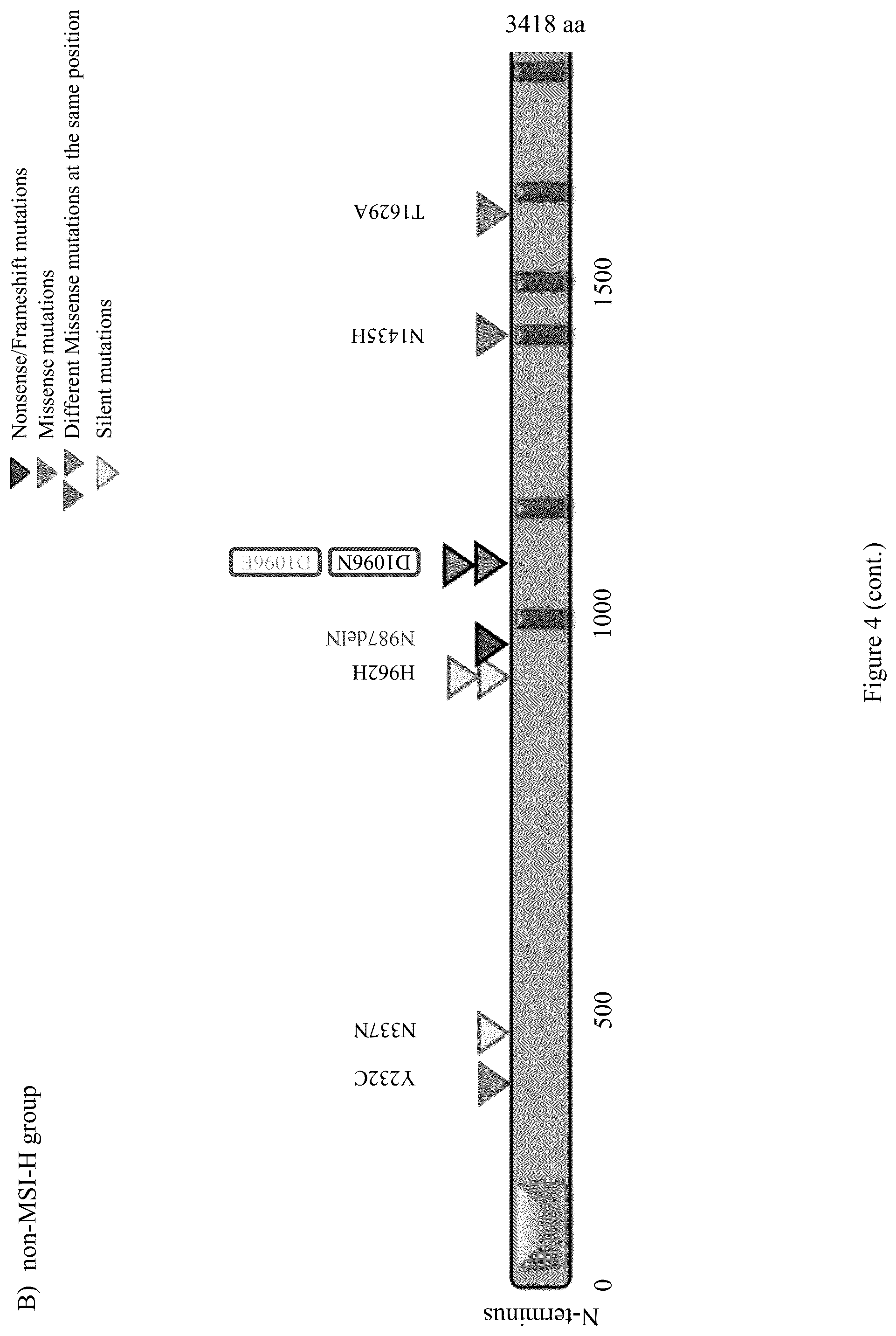 Patent US12098428 Figure 16 – Frequent EGFR and NTRK somatic mutations in colorectal cancer (CRC) with microsatellite instability (MSI)
