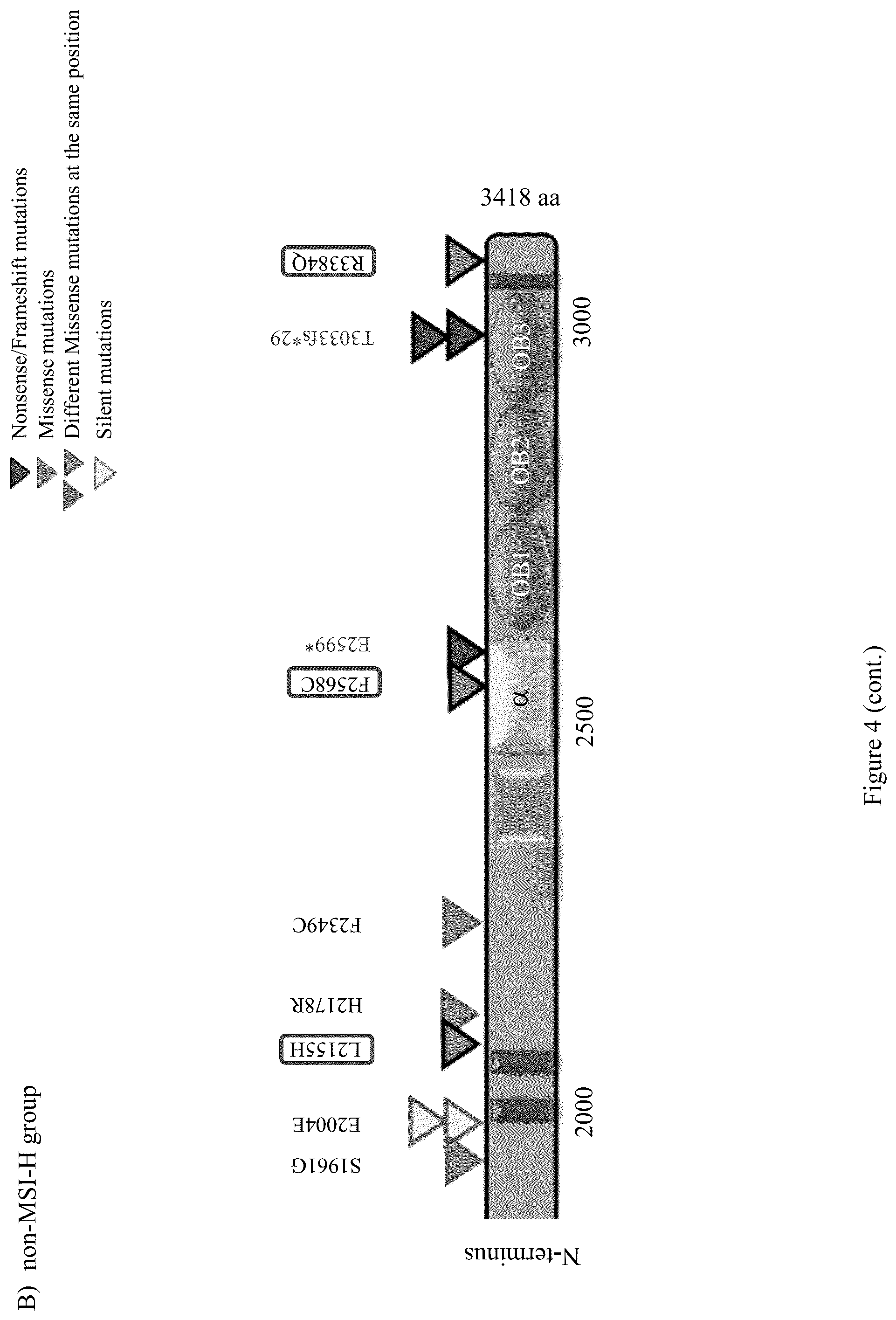 Patent US12098428 Figure 17 – Frequent EGFR and NTRK somatic mutations in colorectal cancer (CRC) with microsatellite instability (MSI)