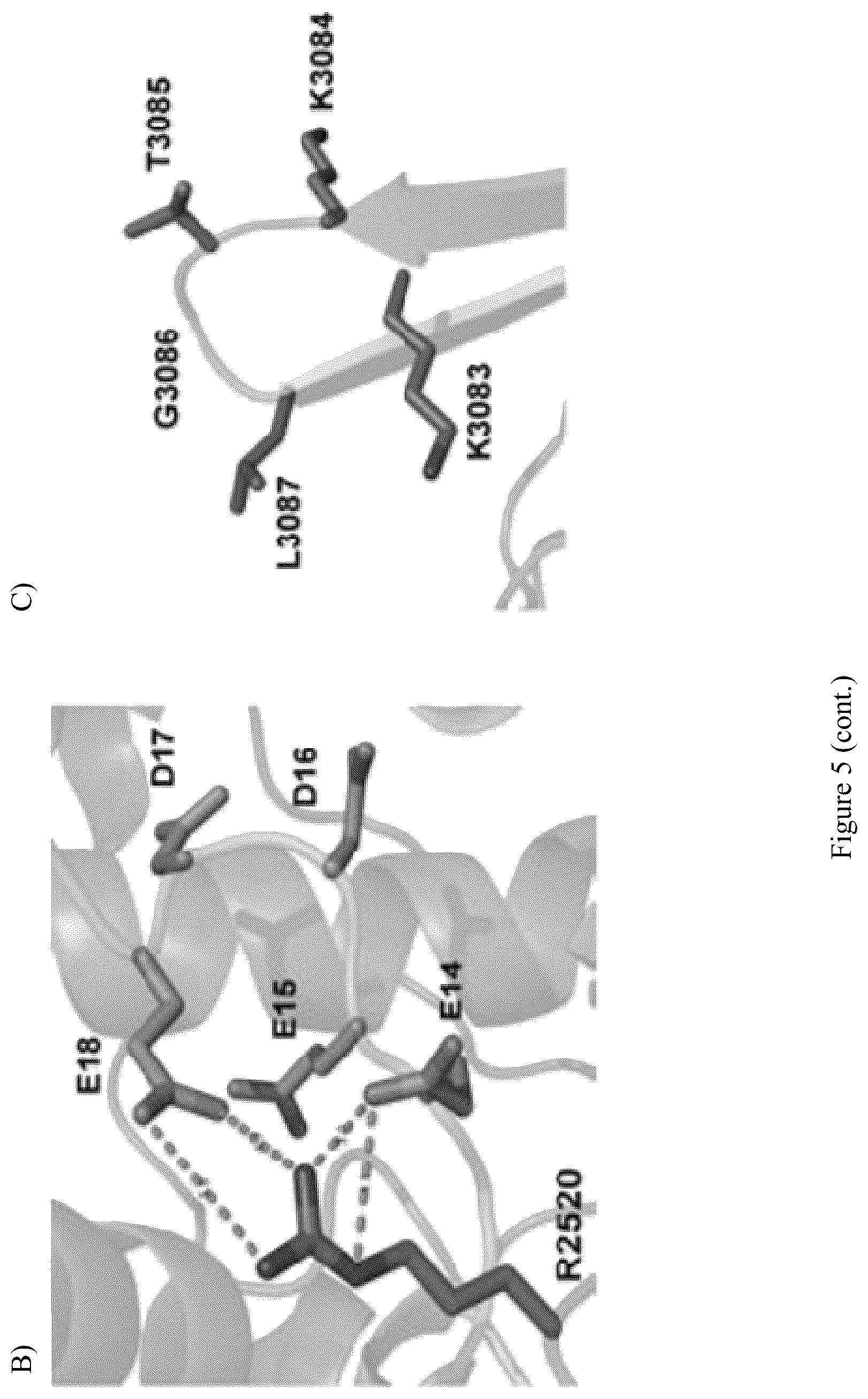 Patent US12098428 Figure 19 – Frequent EGFR and NTRK somatic mutations in colorectal cancer (CRC) with microsatellite instability (MSI)