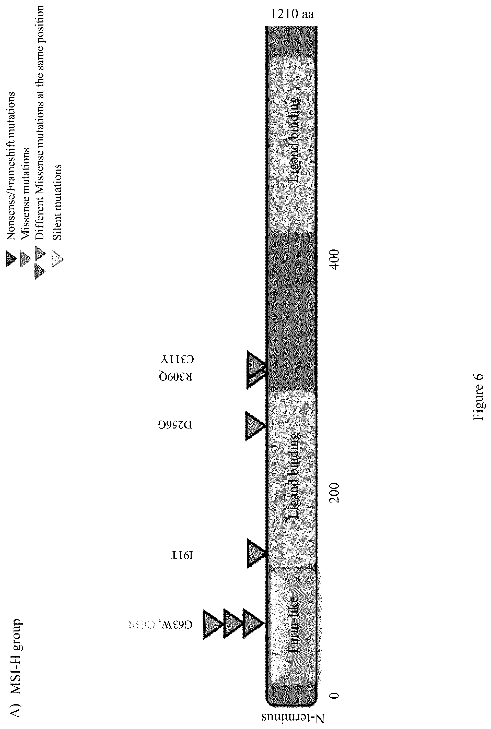 Patent US12098428 Figure 20 – Frequent EGFR and NTRK somatic mutations in colorectal cancer (CRC) with microsatellite instability (MSI)