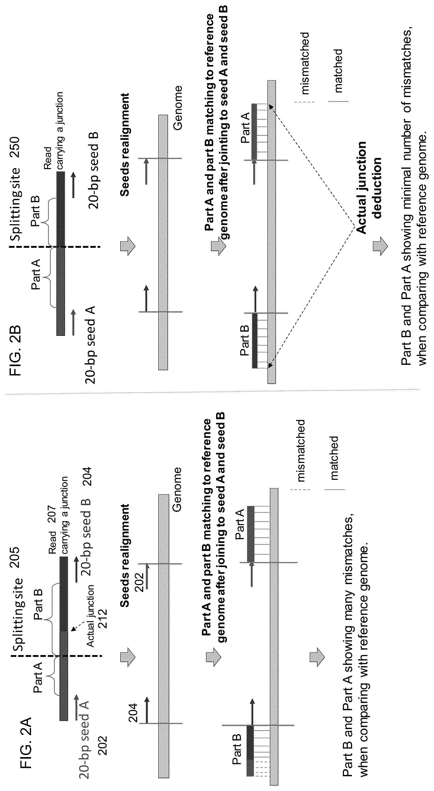Patent US12098429 Figure 2 – Determining linear and circular forms of circulating nucleic acids