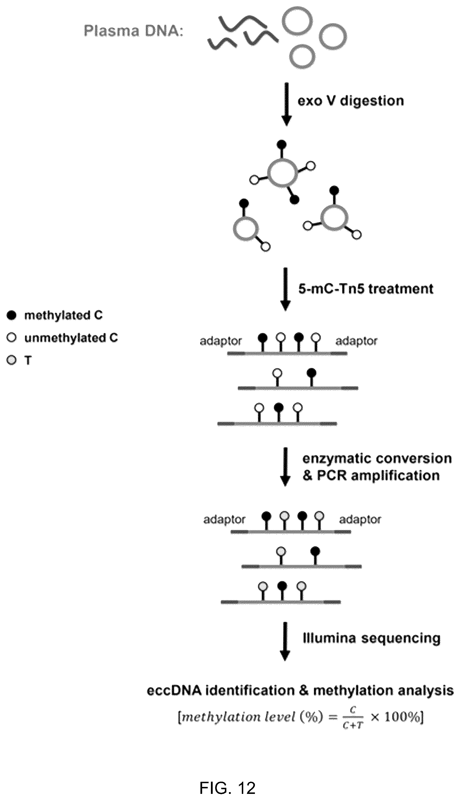 Patent US12098429 Figure 12 – Determining linear and circular forms of circulating nucleic acids