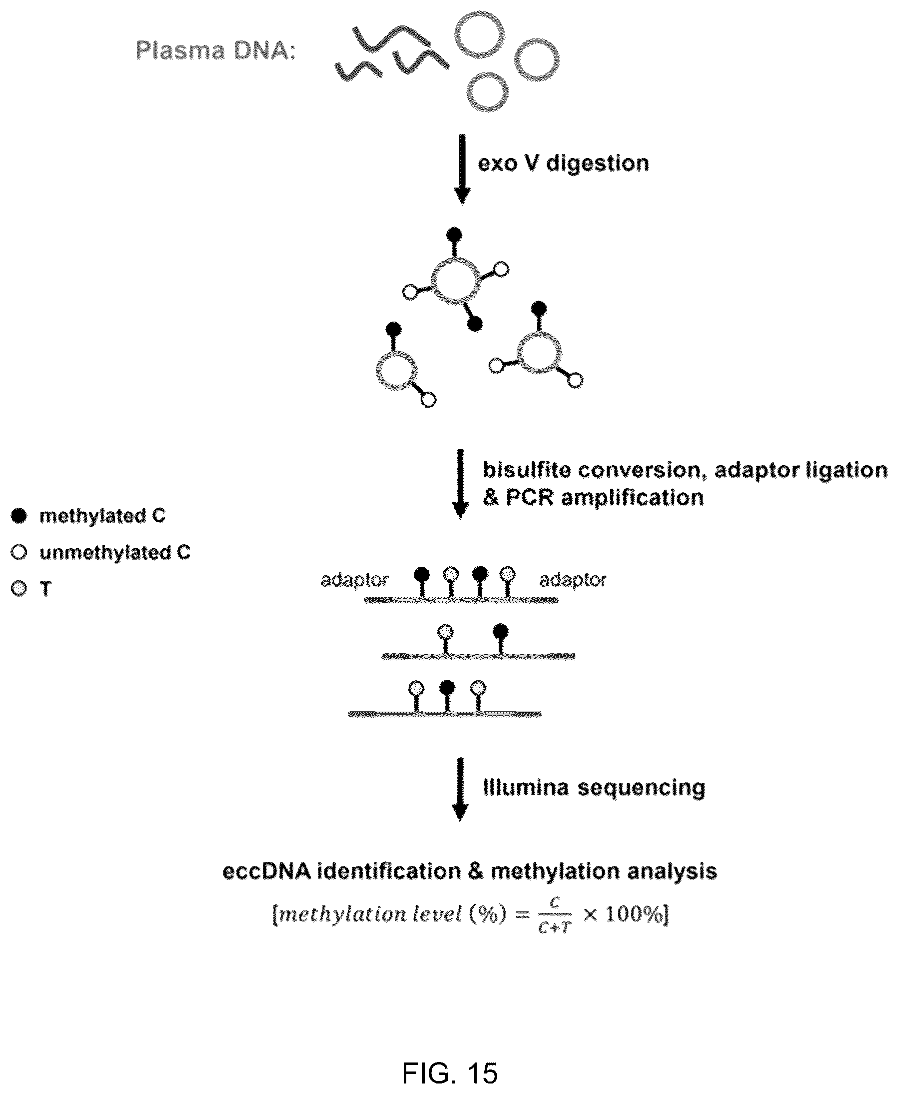 Patent US12098429 Figure 15 – Determining linear and circular forms of circulating nucleic acids