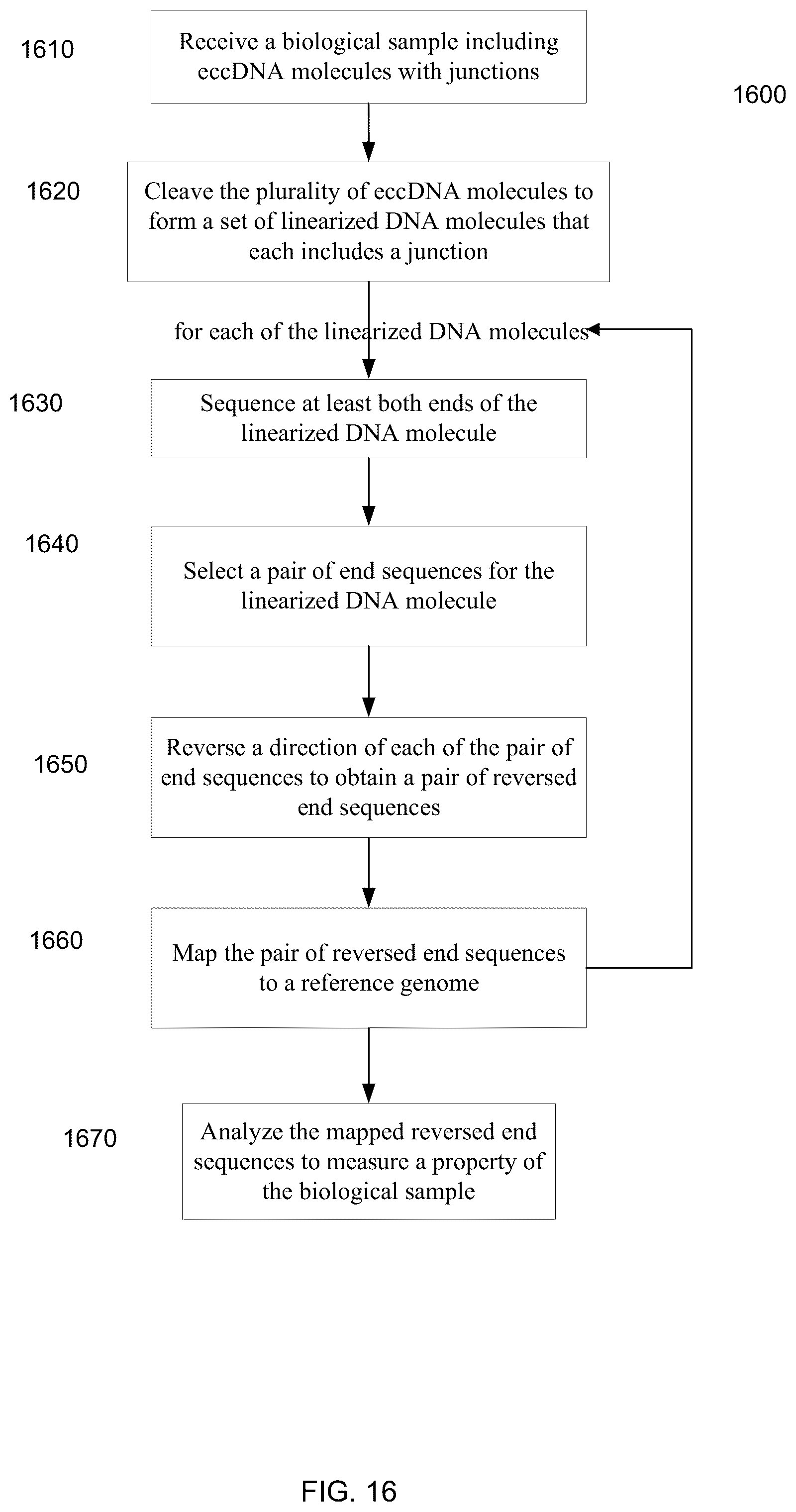 Patent US12098429 Figure 16 – Determining linear and circular forms of circulating nucleic acids