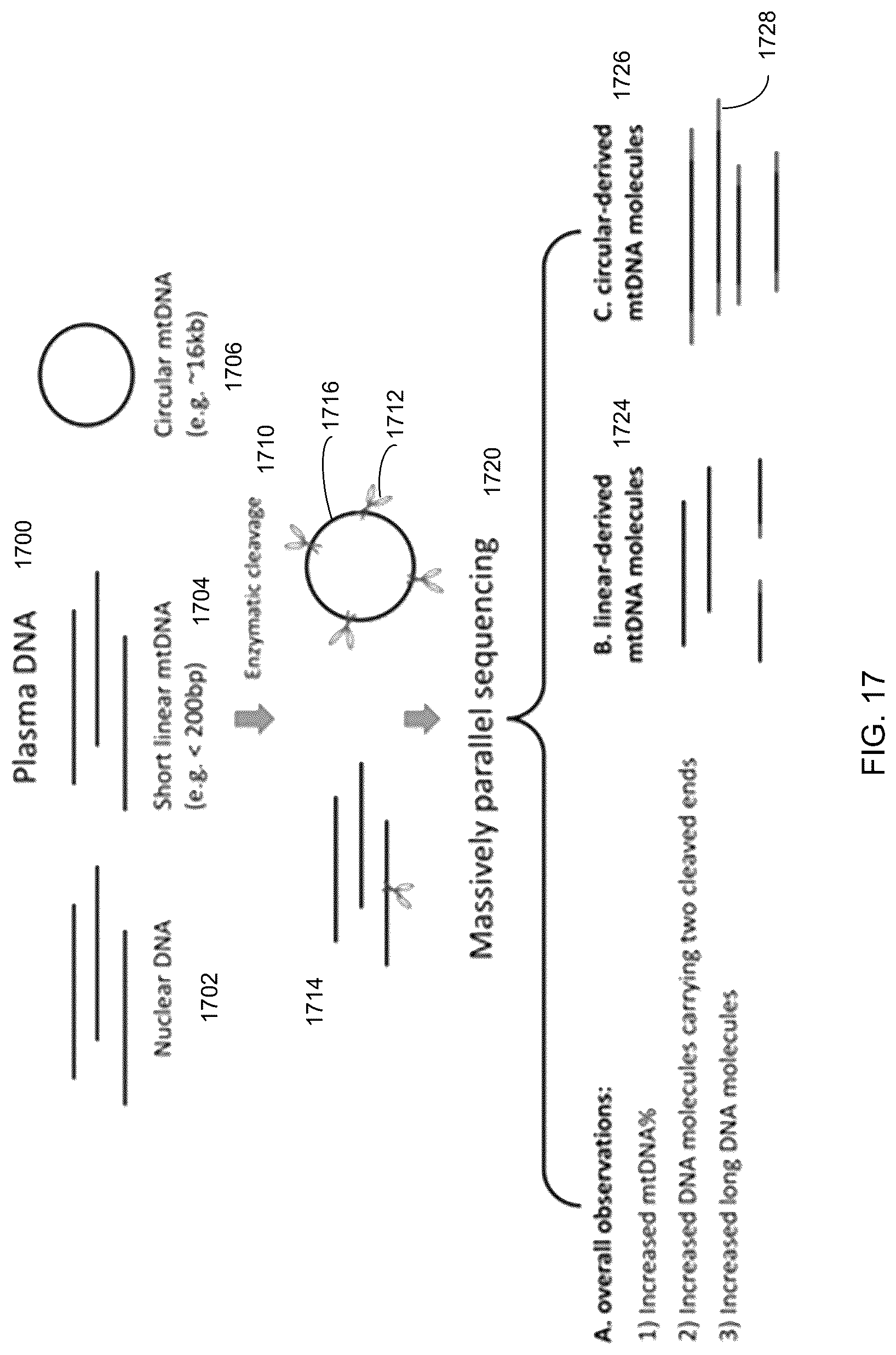 Patent US12098429 Figure 17 – Determining linear and circular forms of circulating nucleic acids