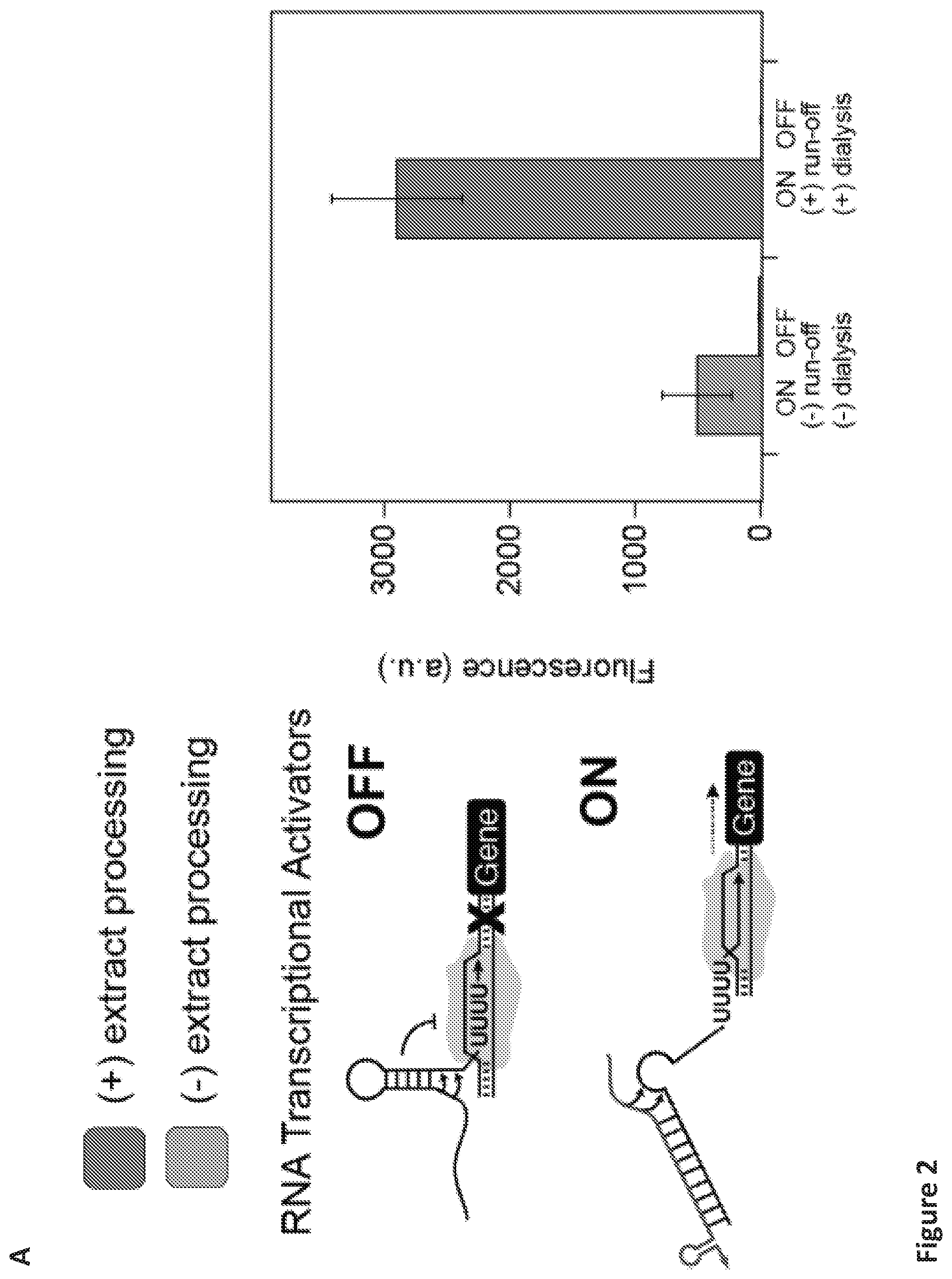 Patent US12098433 Figure 2 – On demand, portable, cell-free molecular sensing platform