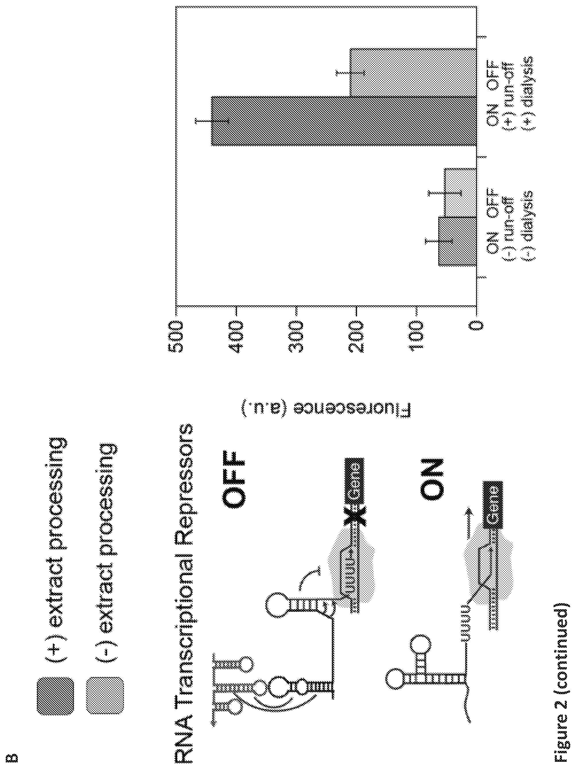 Patent US12098433 Figure 3 – On demand, portable, cell-free molecular sensing platform
