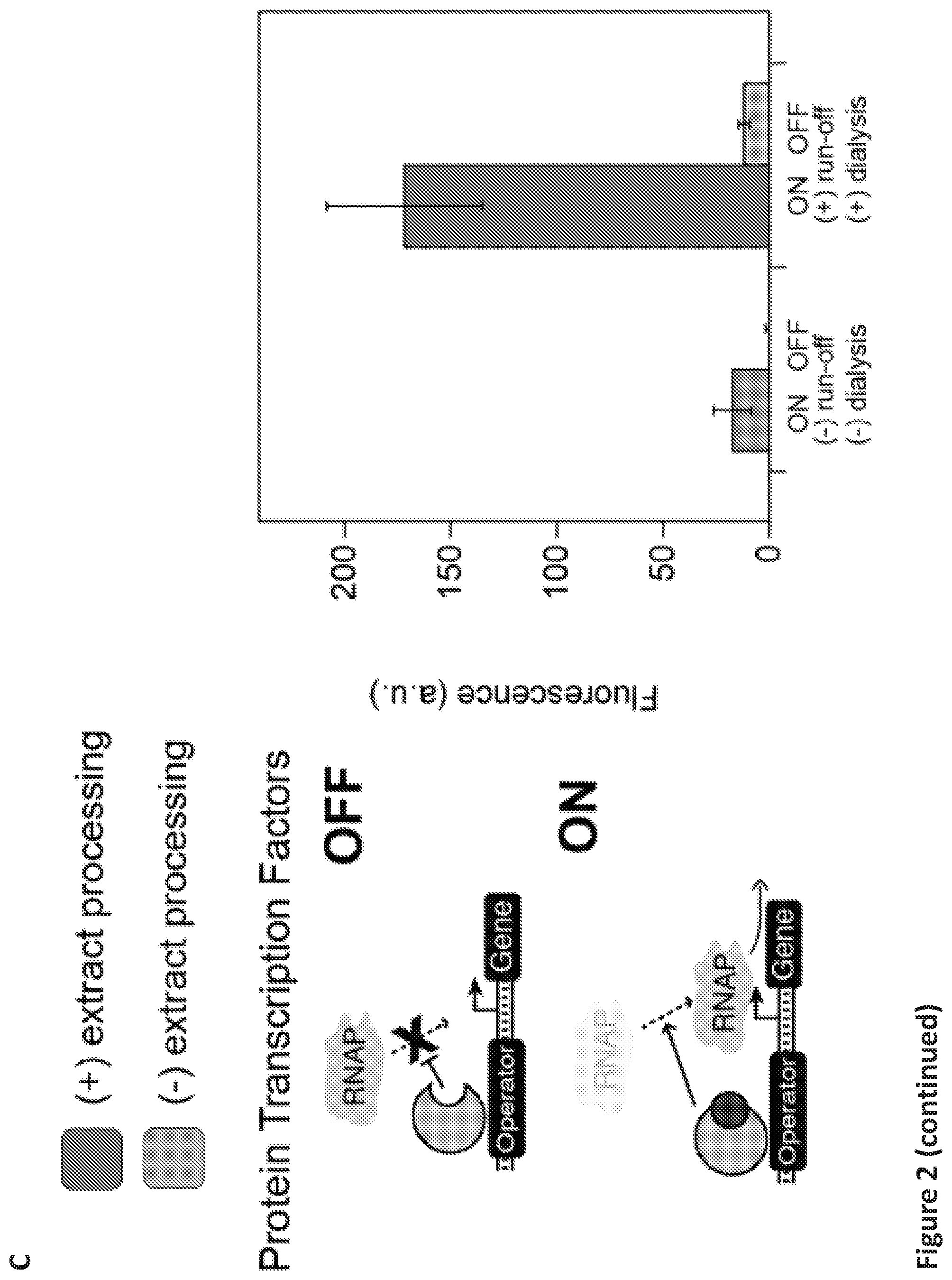 Patent US12098433 Figure 4 – On demand, portable, cell-free molecular sensing platform
