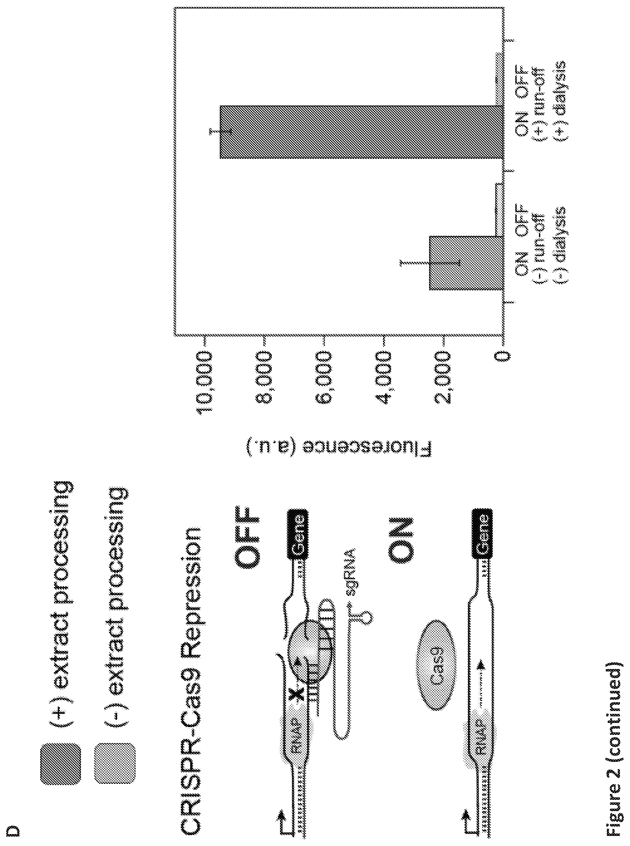 Patent US12098433 Figure 5 – On demand, portable, cell-free molecular sensing platform