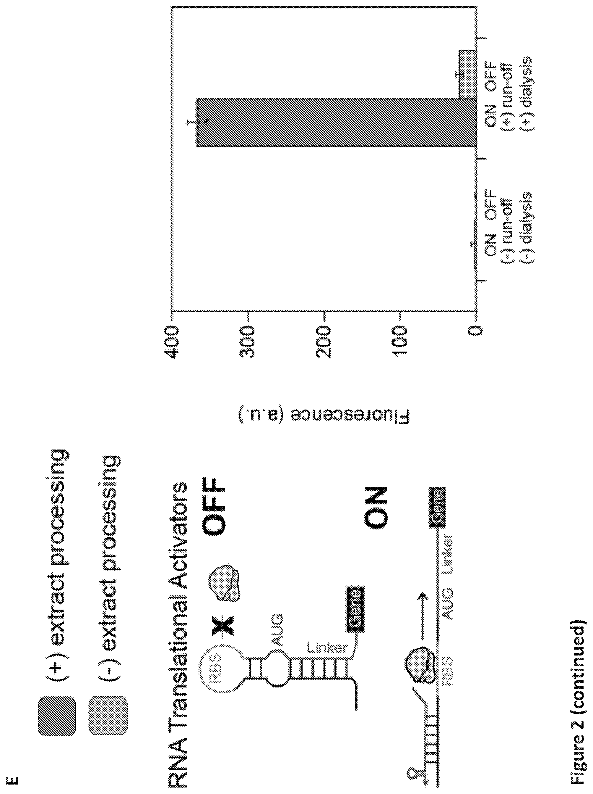 Patent US12098433 Figure 6 – On demand, portable, cell-free molecular sensing platform