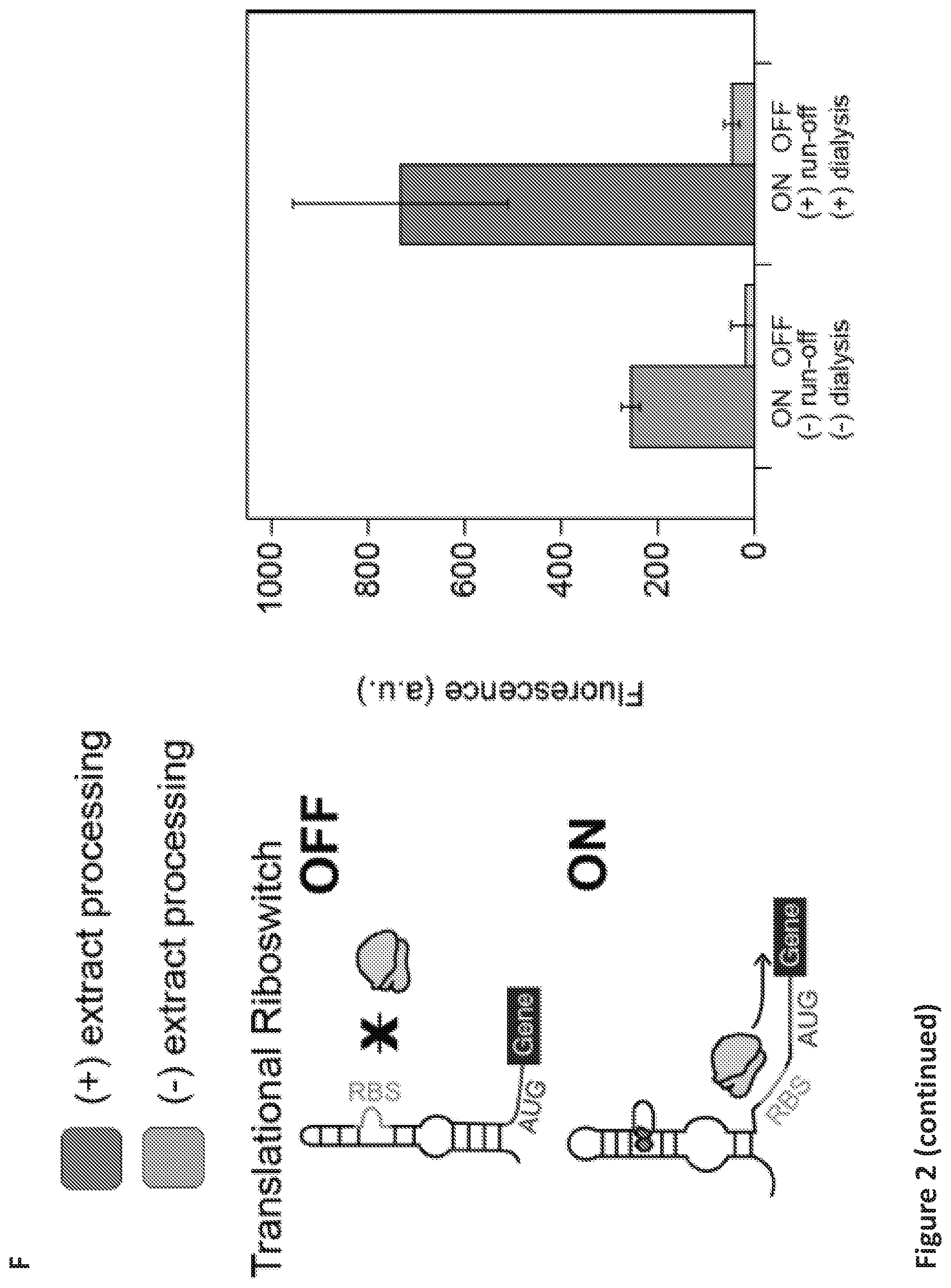 Patent US12098433 Figure 7 – On demand, portable, cell-free molecular sensing platform