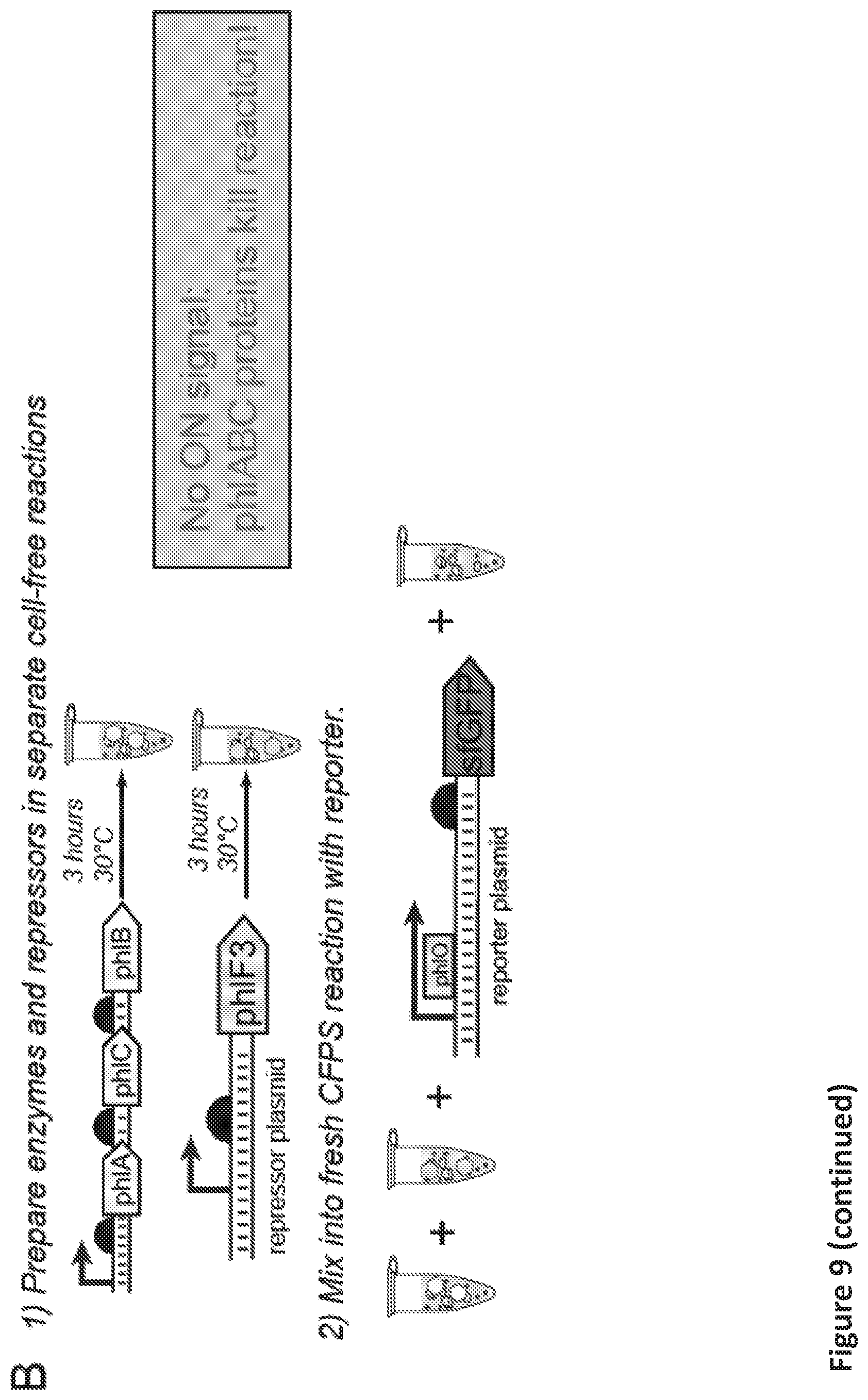 Patent US12098433 Figure 16 – On demand, portable, cell-free molecular sensing platform