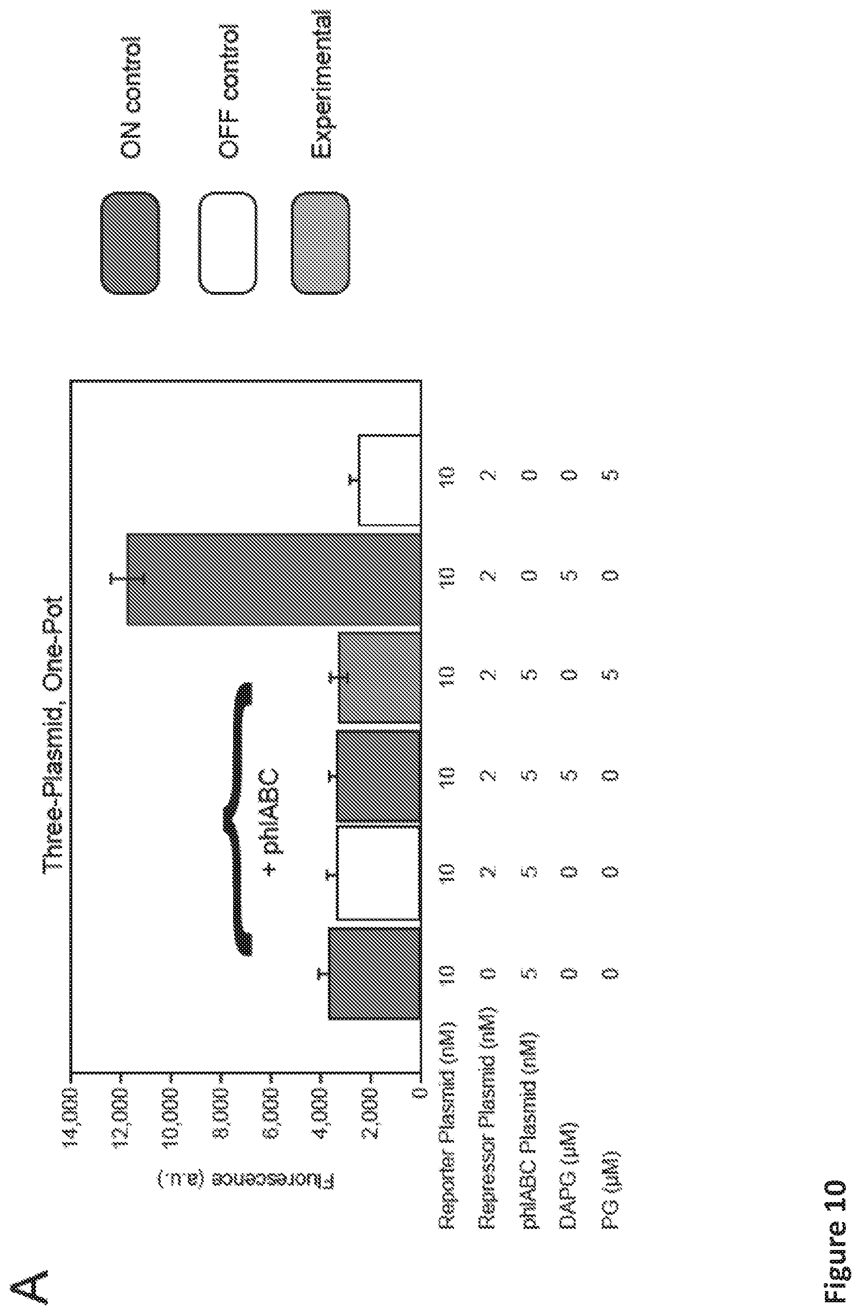 Patent US12098433 Figure 18 – On demand, portable, cell-free molecular sensing platform