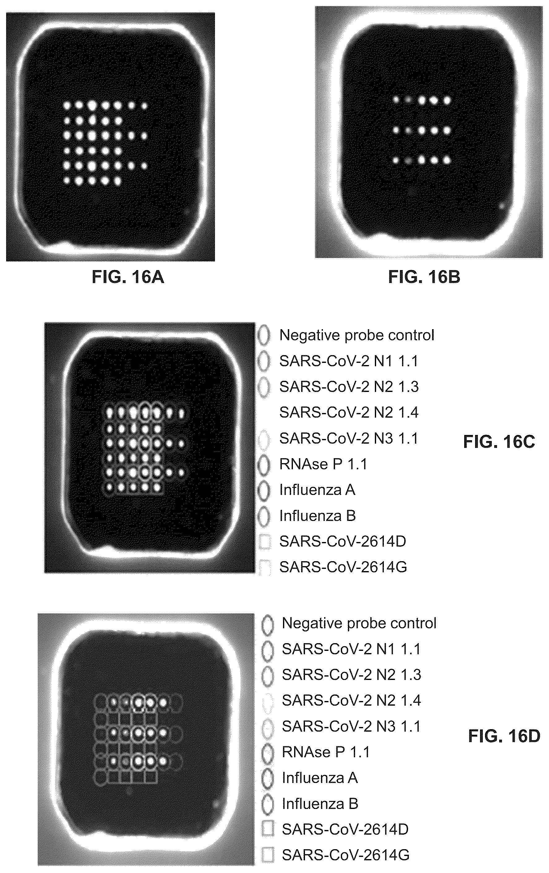 Patent US12098434 Figure 11 – Methods for detecting low levels of COVID-19 virus
