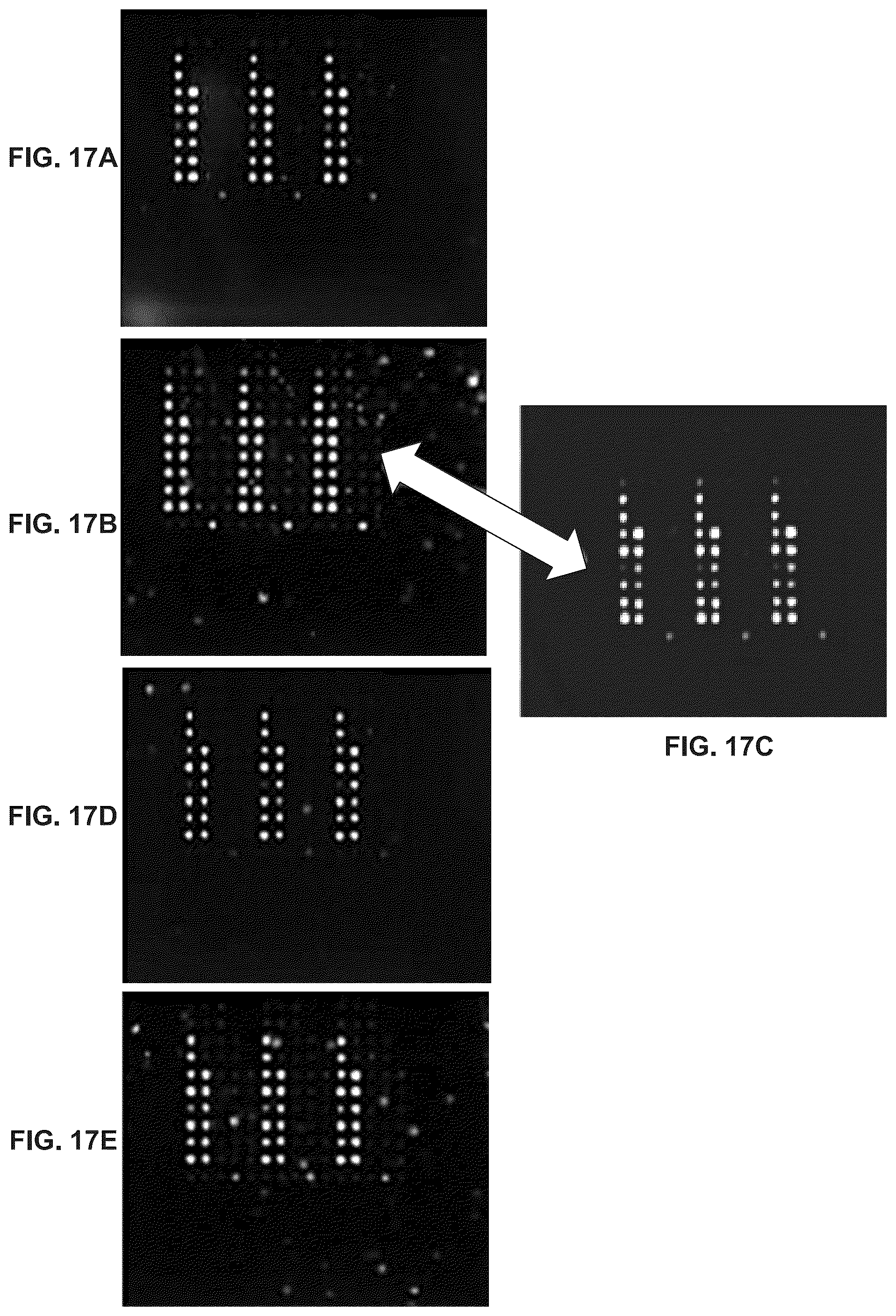 Patent US12098434 Figure 12 – Methods for detecting low levels of COVID-19 virus