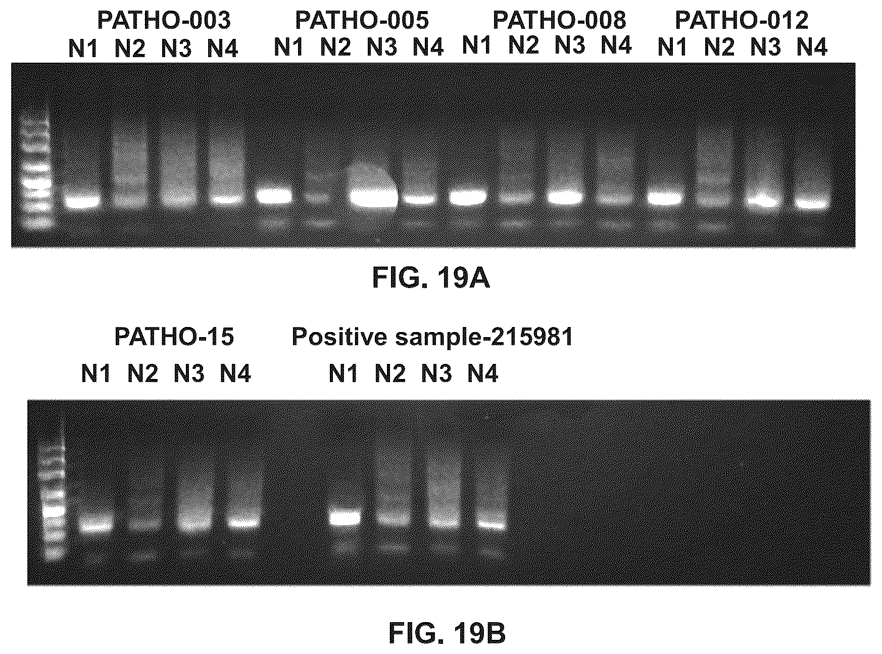 Patent US12098434 Figure 15 – Methods for detecting low levels of COVID-19 virus