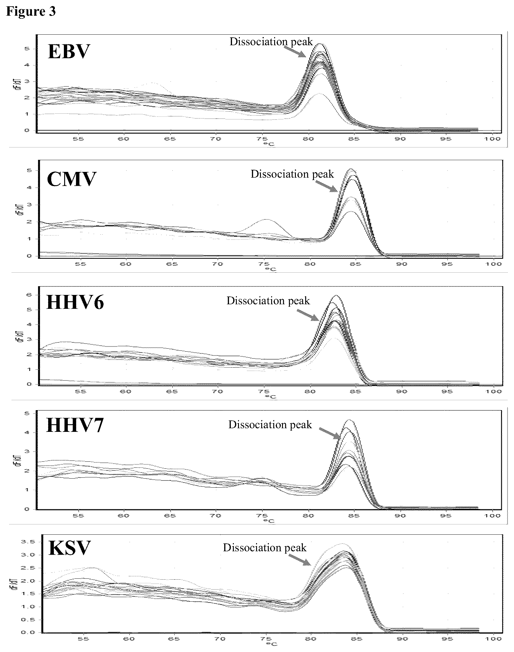 Patent US12098435 Figure 2 – Method for the simultaneous detection and quantification of Epstein-Barr Virus, Cytomegalovirus, Human Herpesvirus 6, Human Herpesvirus 7 and Kaposi's Sarcoma Virus using a multiplex, real-time polymerase chain reaction