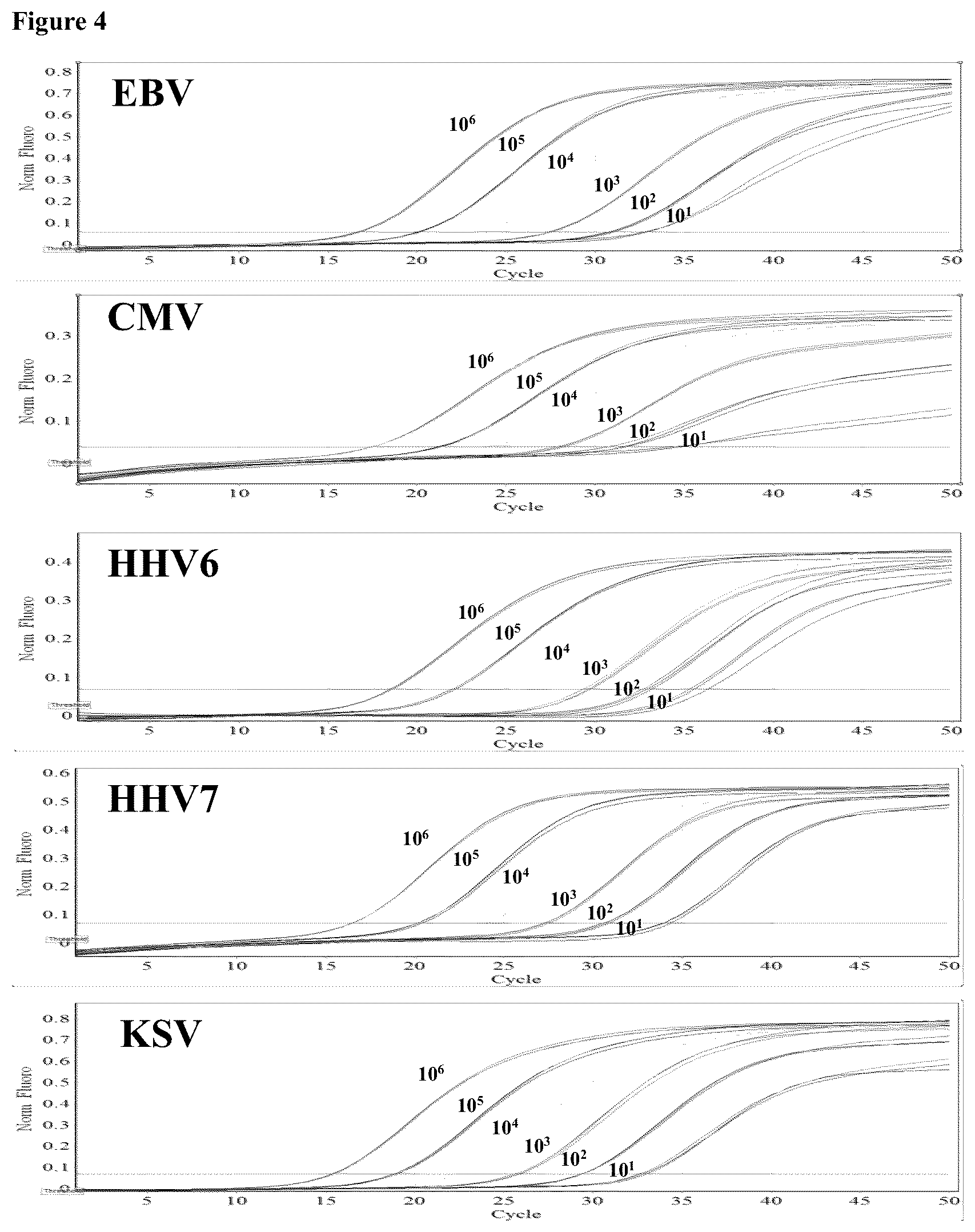 Patent US12098435 Figure 3 – Method for the simultaneous detection and quantification of Epstein-Barr Virus, Cytomegalovirus, Human Herpesvirus 6, Human Herpesvirus 7 and Kaposi's Sarcoma Virus using a multiplex, real-time polymerase chain reaction
