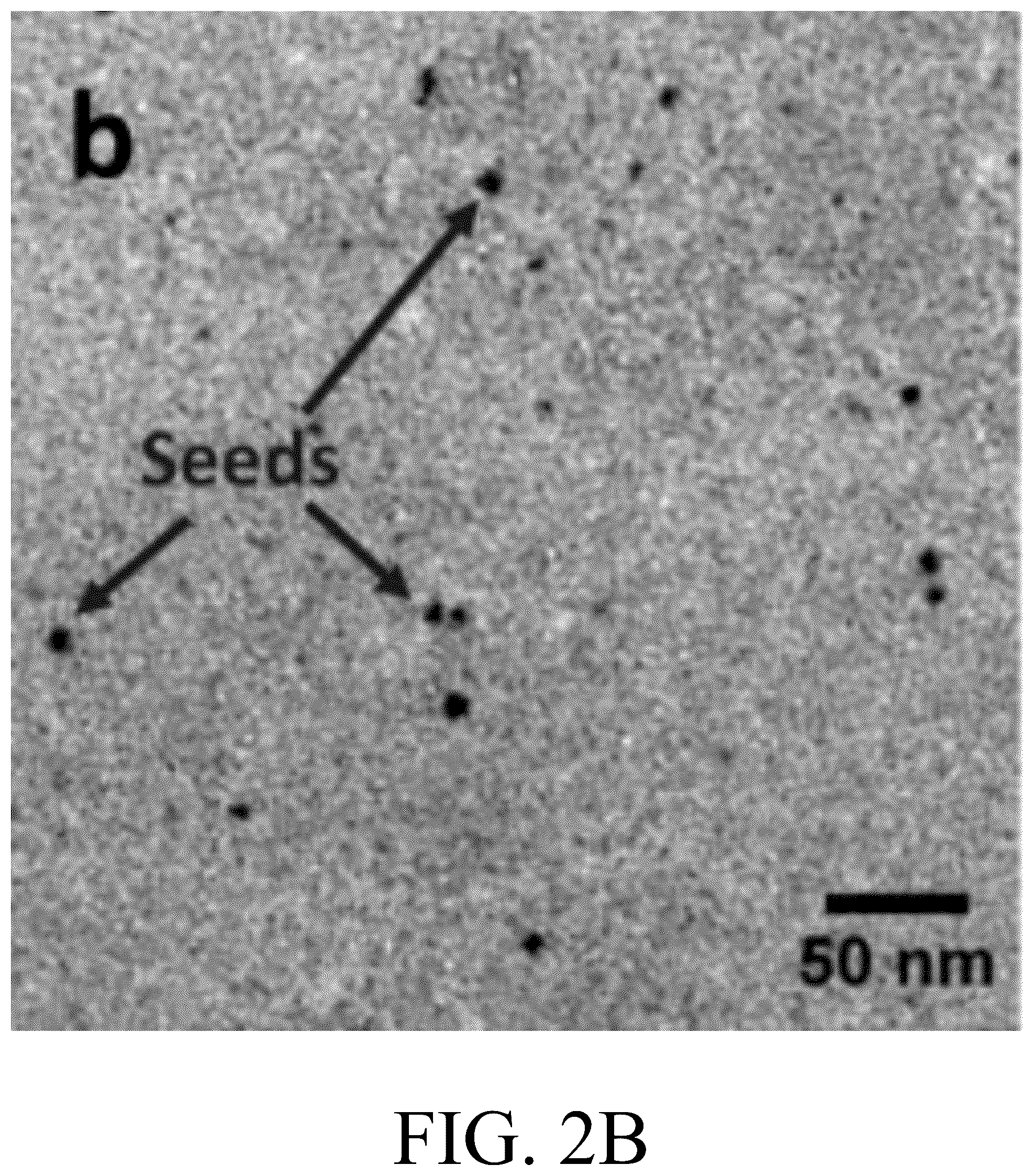 Patent US12098456 Figure 3 – Systems and methods for tailored microstructures using templated grain nucleation