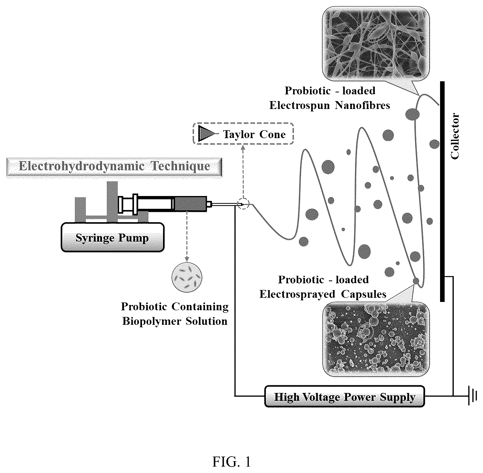 Patent US12098479 Figure 1 – Probiotic-encapsulating gum Arabic composite fiber/capsule, preparation method and application thereof