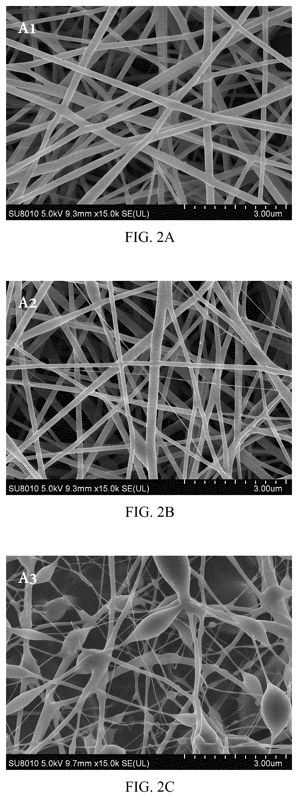 Patent US12098479 Figure 2 – Probiotic-encapsulating gum Arabic composite fiber/capsule, preparation method and application thereof
