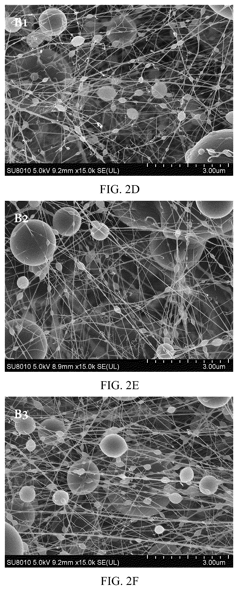 Patent US12098479 Figure 3 – Probiotic-encapsulating gum Arabic composite fiber/capsule, preparation method and application thereof