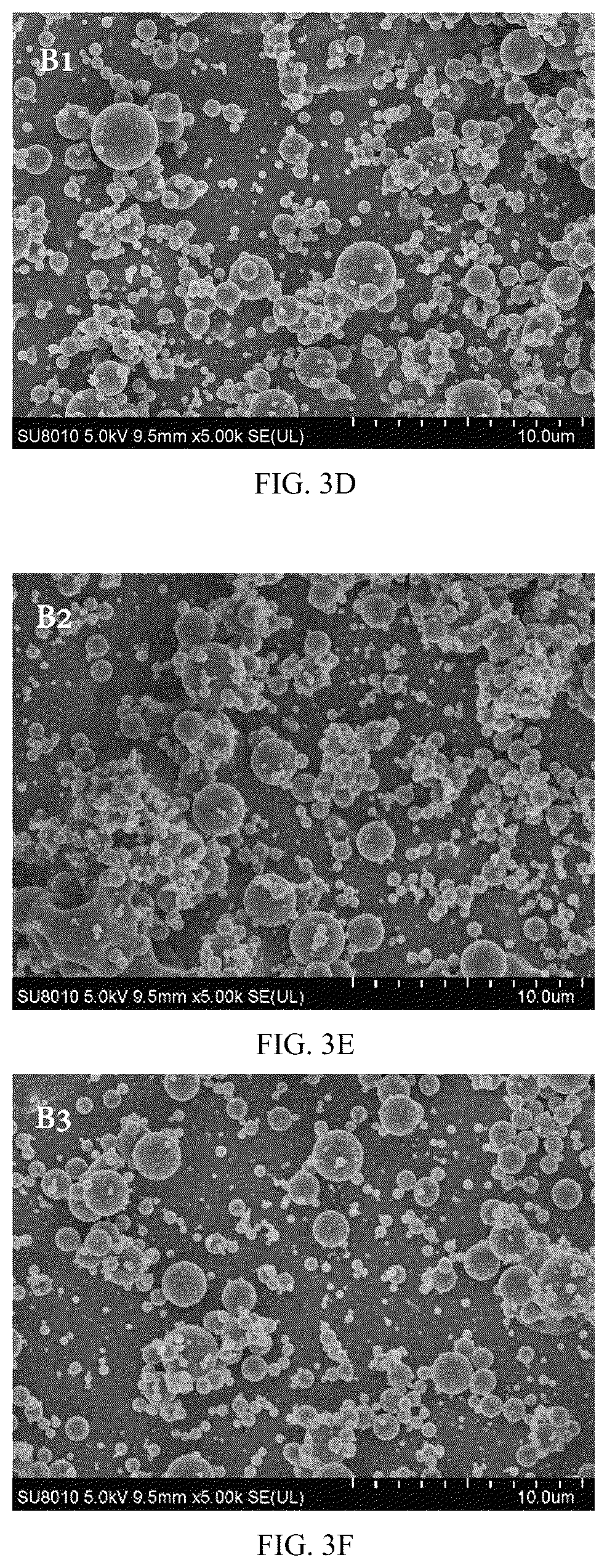 Patent US12098479 Figure 8 – Probiotic-encapsulating gum Arabic composite fiber/capsule, preparation method and application thereof