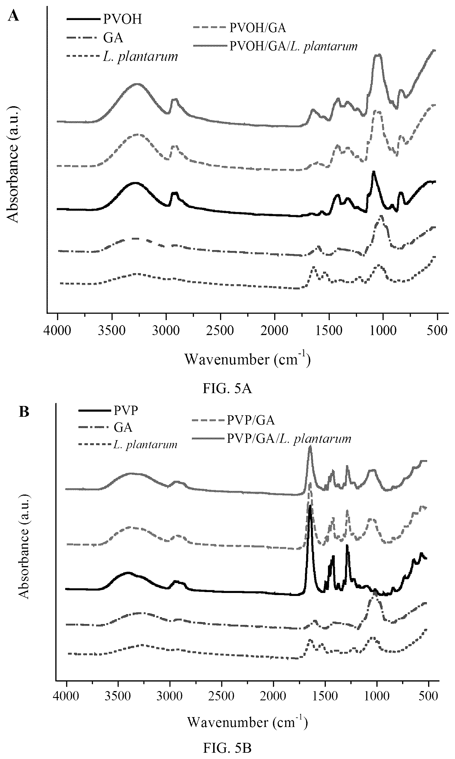 Patent US12098479 Figure 14 – Probiotic-encapsulating gum Arabic composite fiber/capsule, preparation method and application thereof