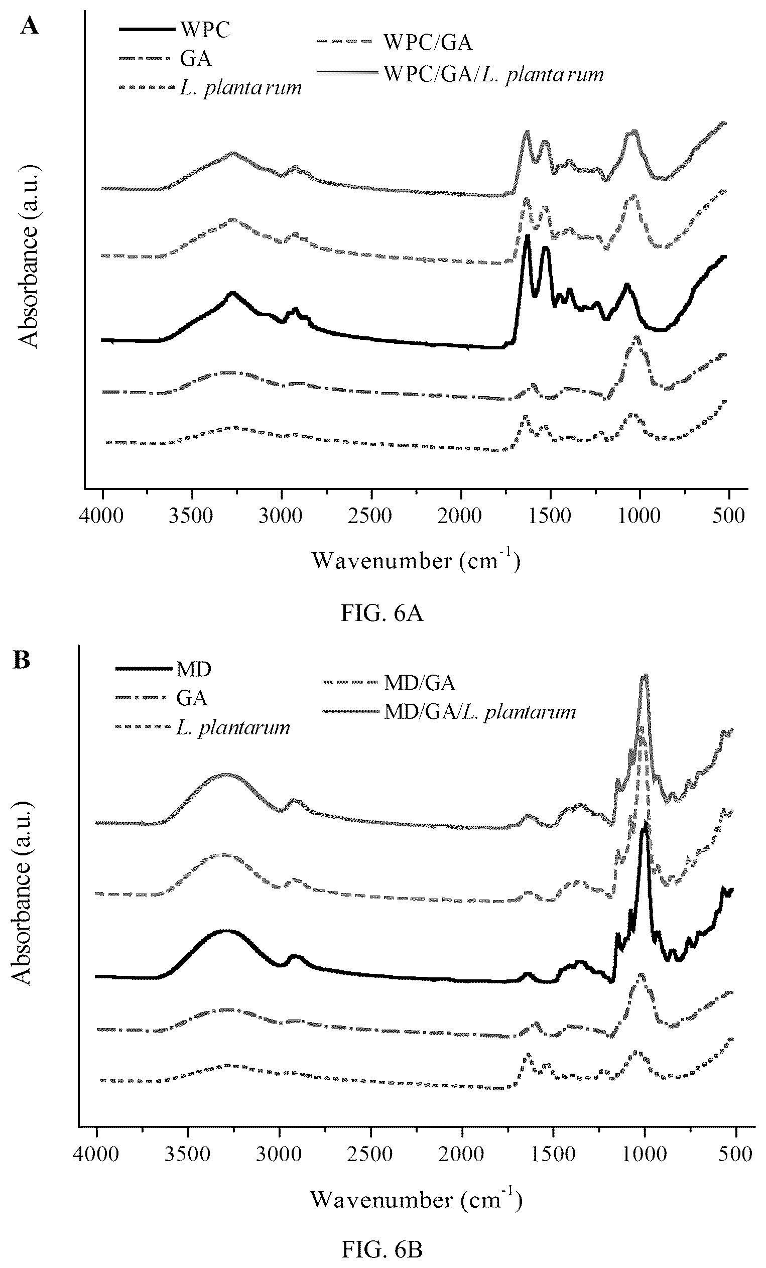 Patent US12098479 Figure 15 – Probiotic-encapsulating gum Arabic composite fiber/capsule, preparation method and application thereof