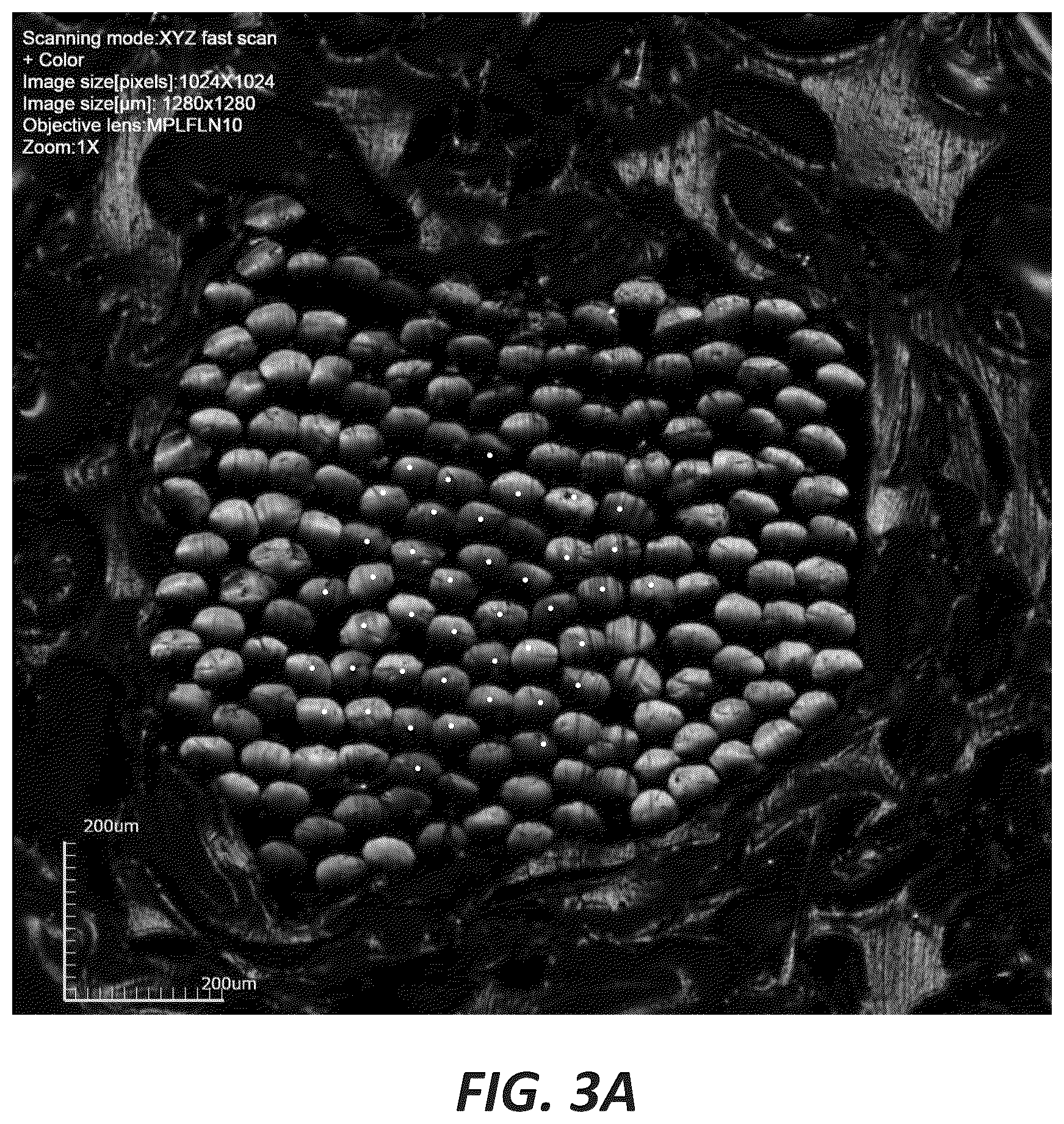 Patent US12098481 Figure 3 – Cellulosic fiber processing