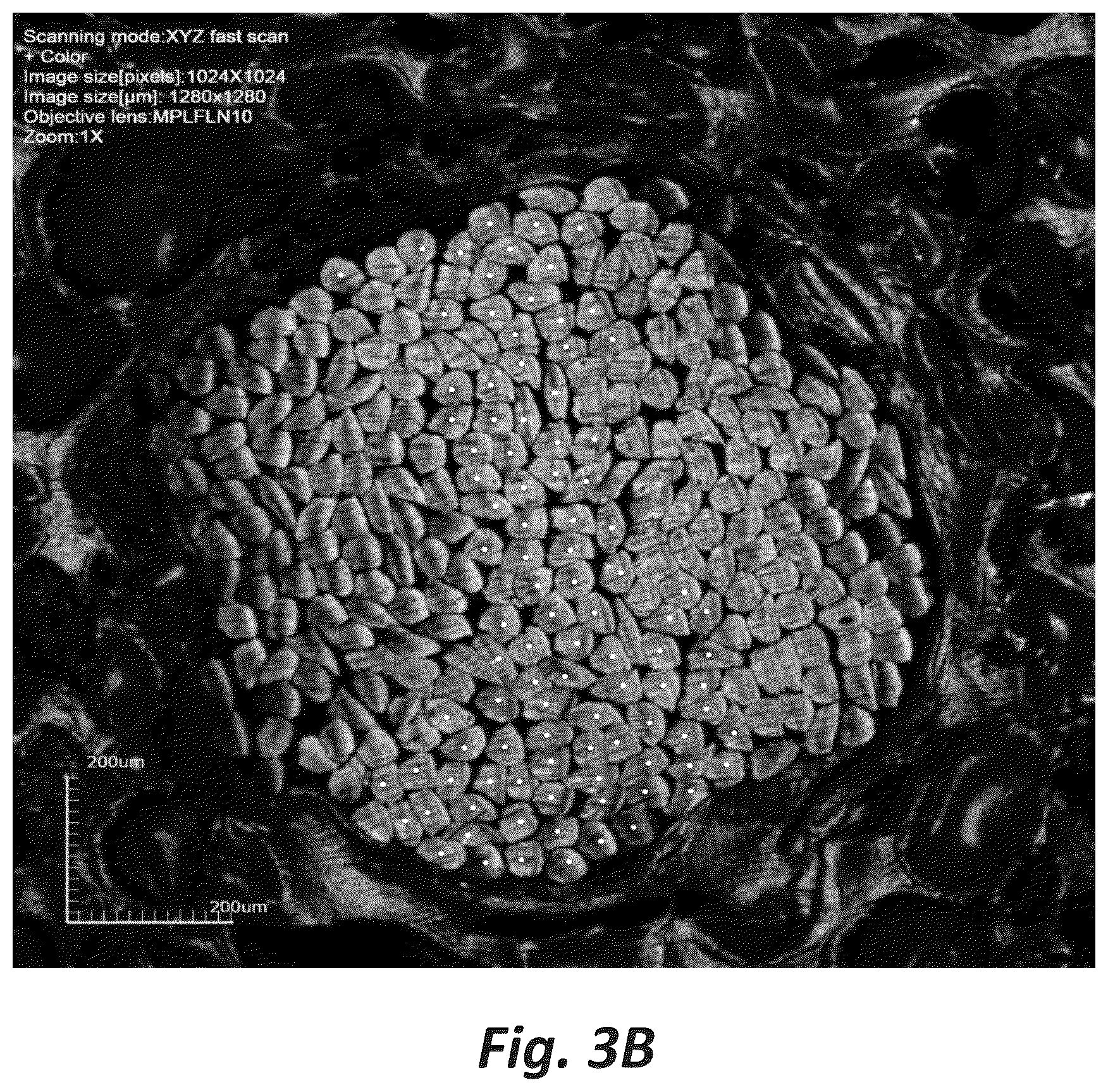 Patent US12098481 Figure 4 – Cellulosic fiber processing