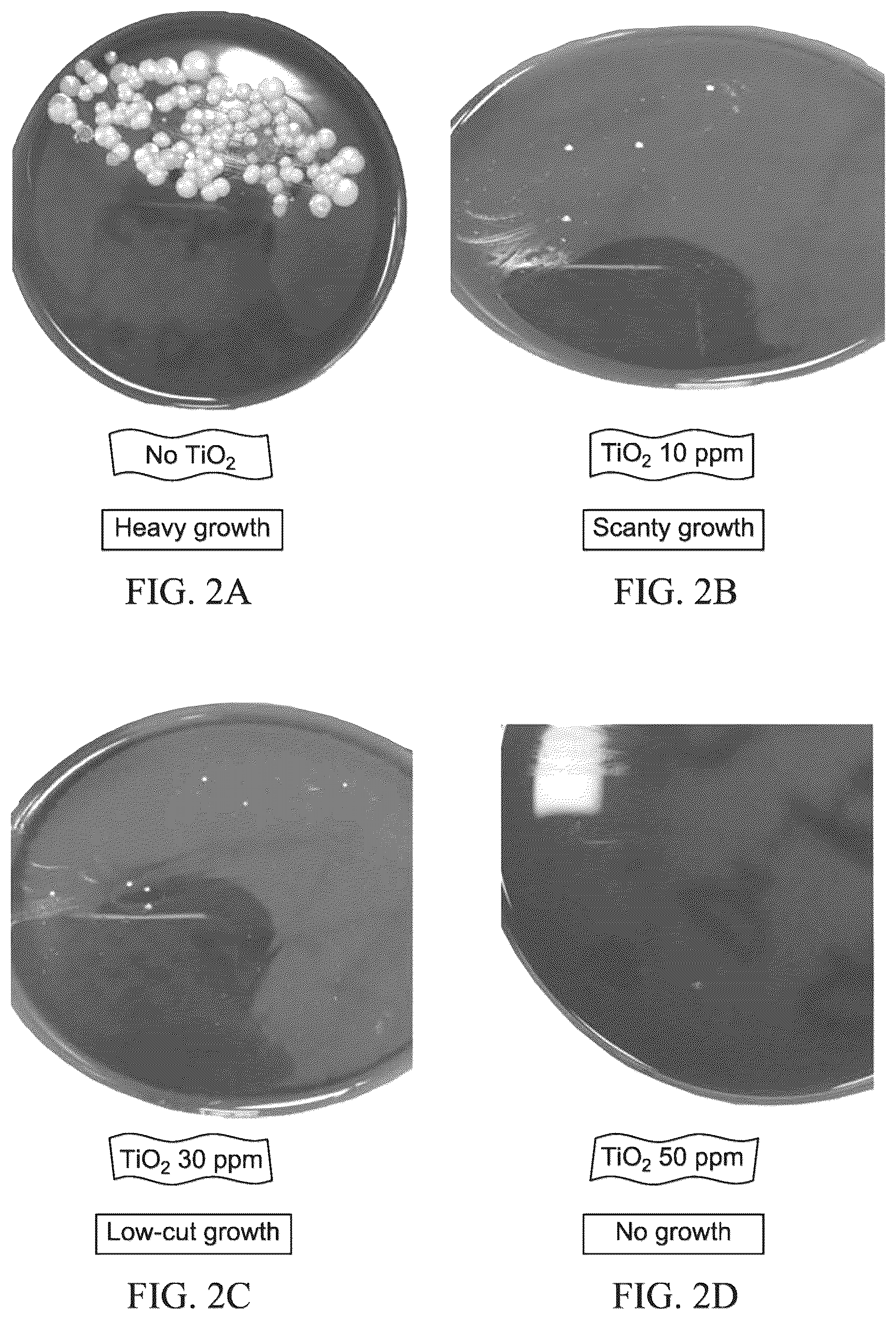 Patent US12098500 Figure 2 – Method for making an antimicrobial cotton textile