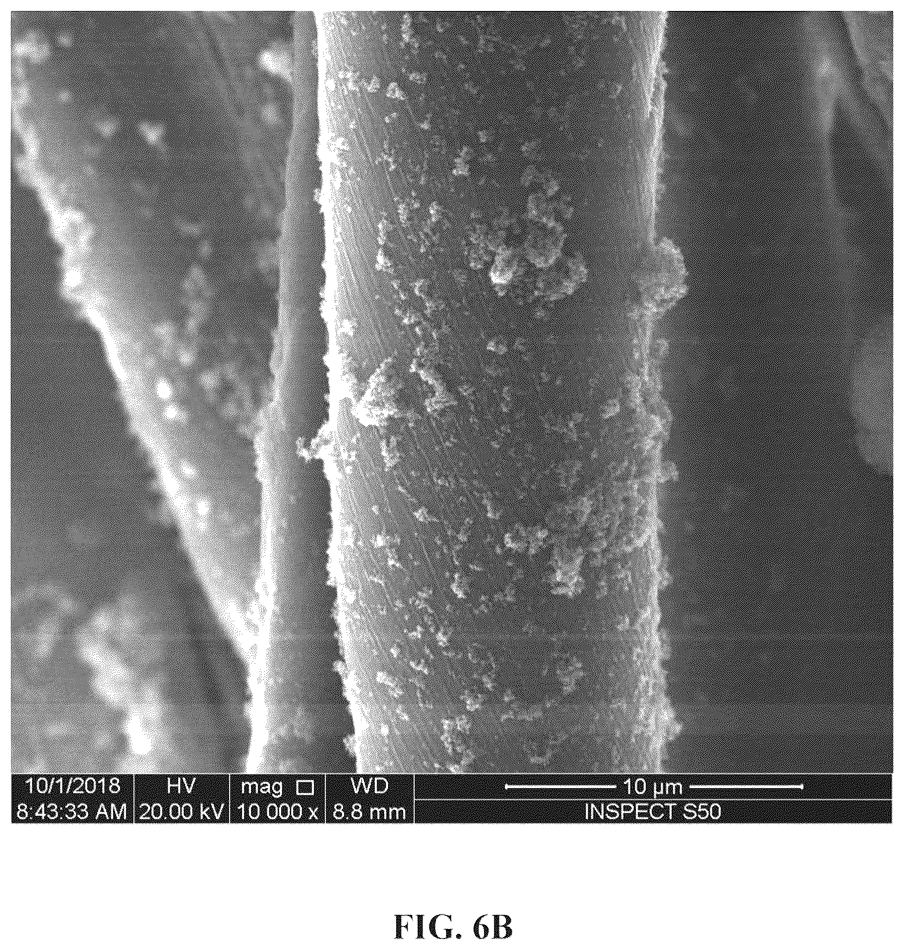Patent US12098500 Figure 12 – Method for making an antimicrobial cotton textile