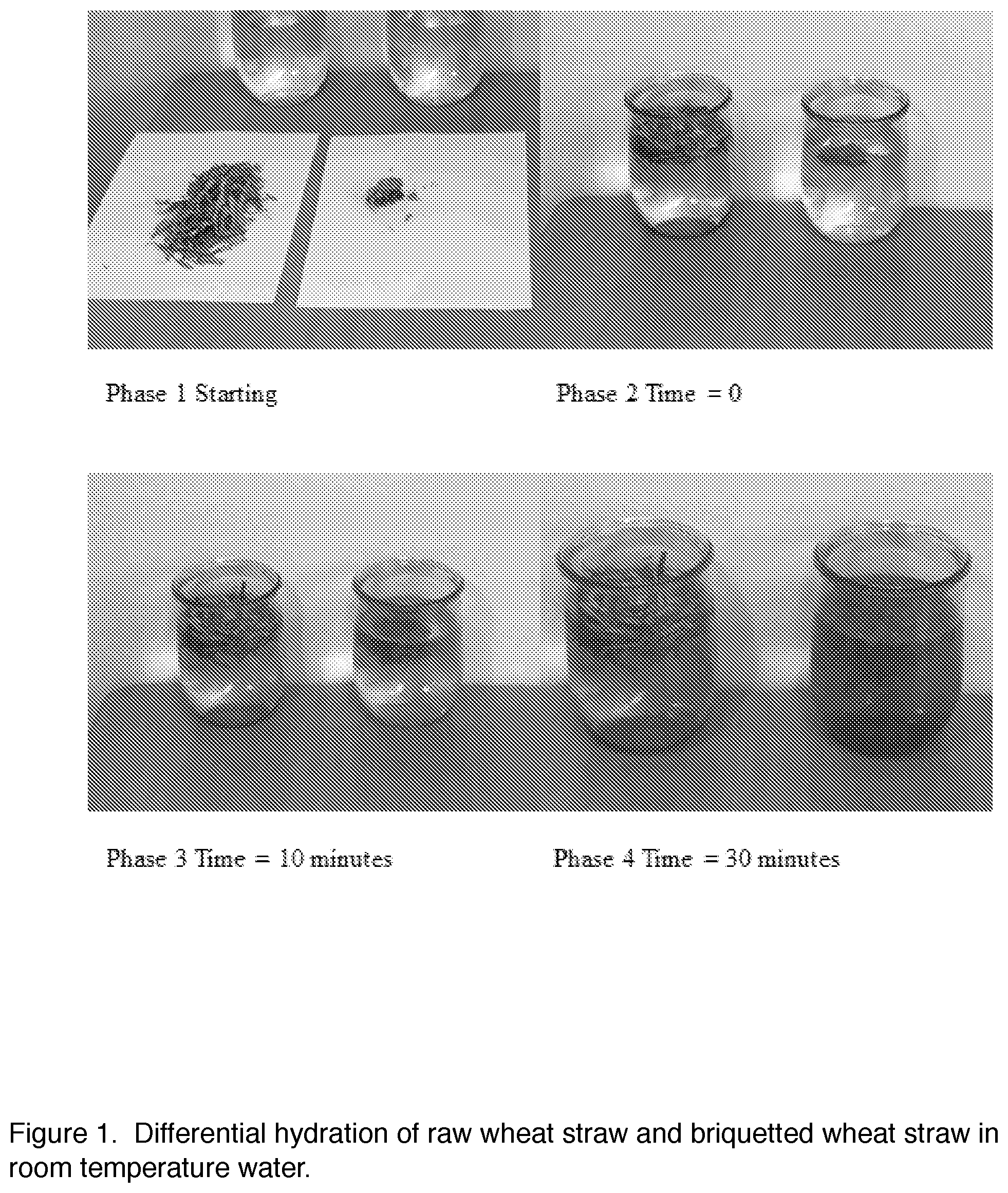 Patent US12098504 — Methods and devices for processing lignocellulosic biomass using mechanical pretreatment to enhance feedstock hydration properties — Figure 1