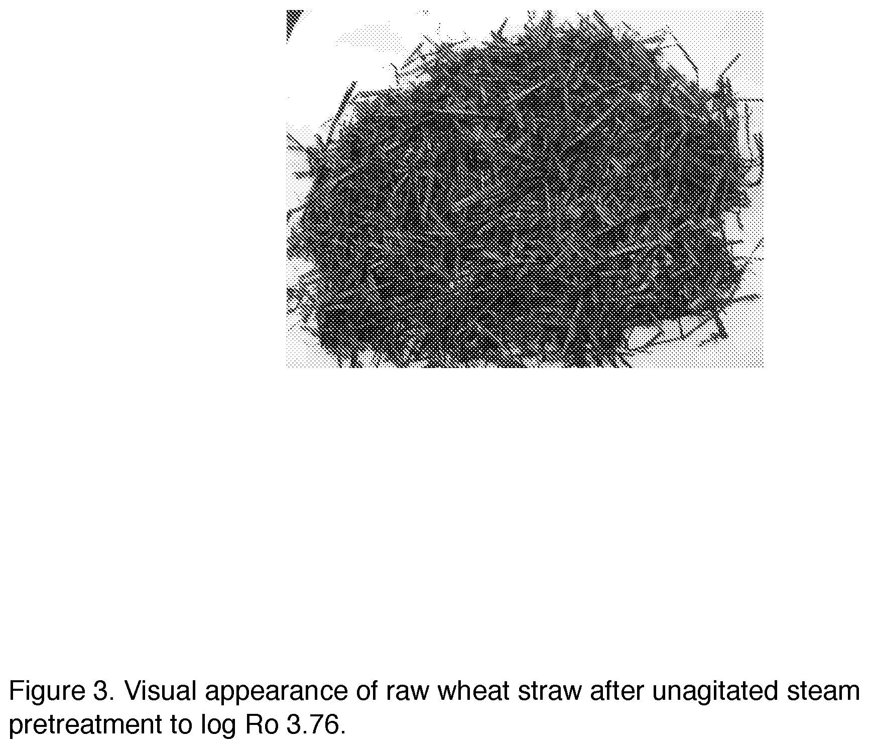 Patent US12098504 Figure 3 – Methods and devices for processing lignocellulosic biomass using mechanical pretreatment to enhance feedstock hydration properties
