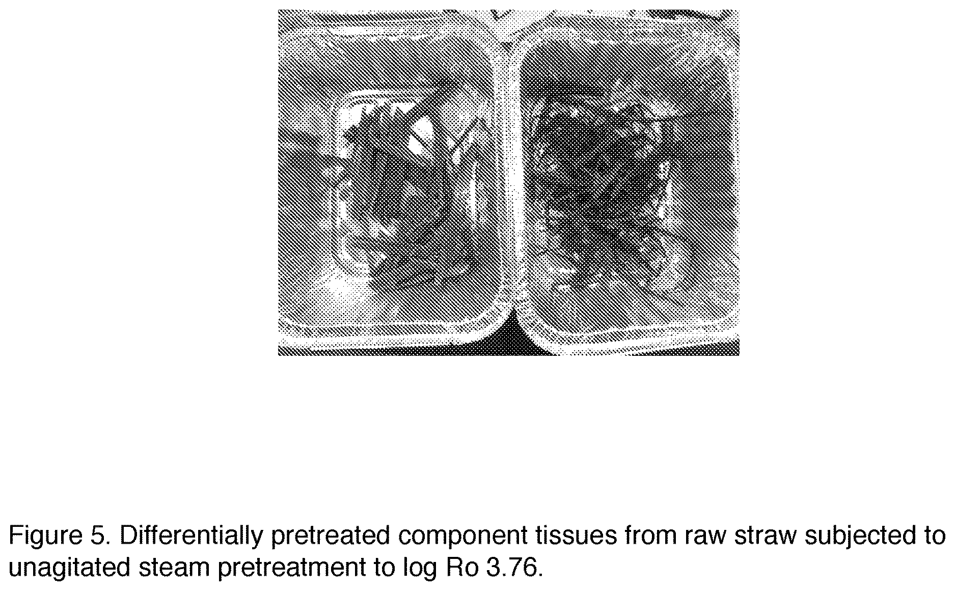 Patent US12098504 Figure 5 – Methods and devices for processing lignocellulosic biomass using mechanical pretreatment to enhance feedstock hydration properties