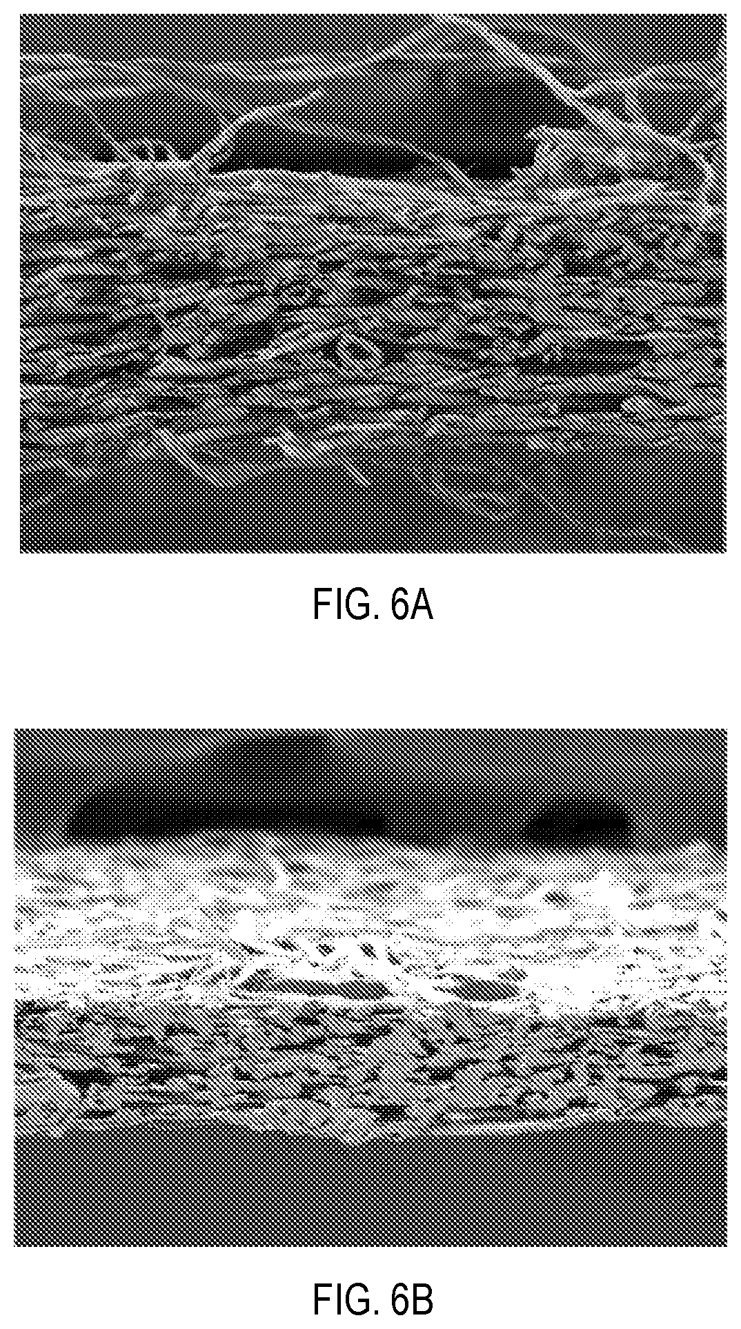 Patent US12098507 Figure 4 – High porosity non-wood pulp