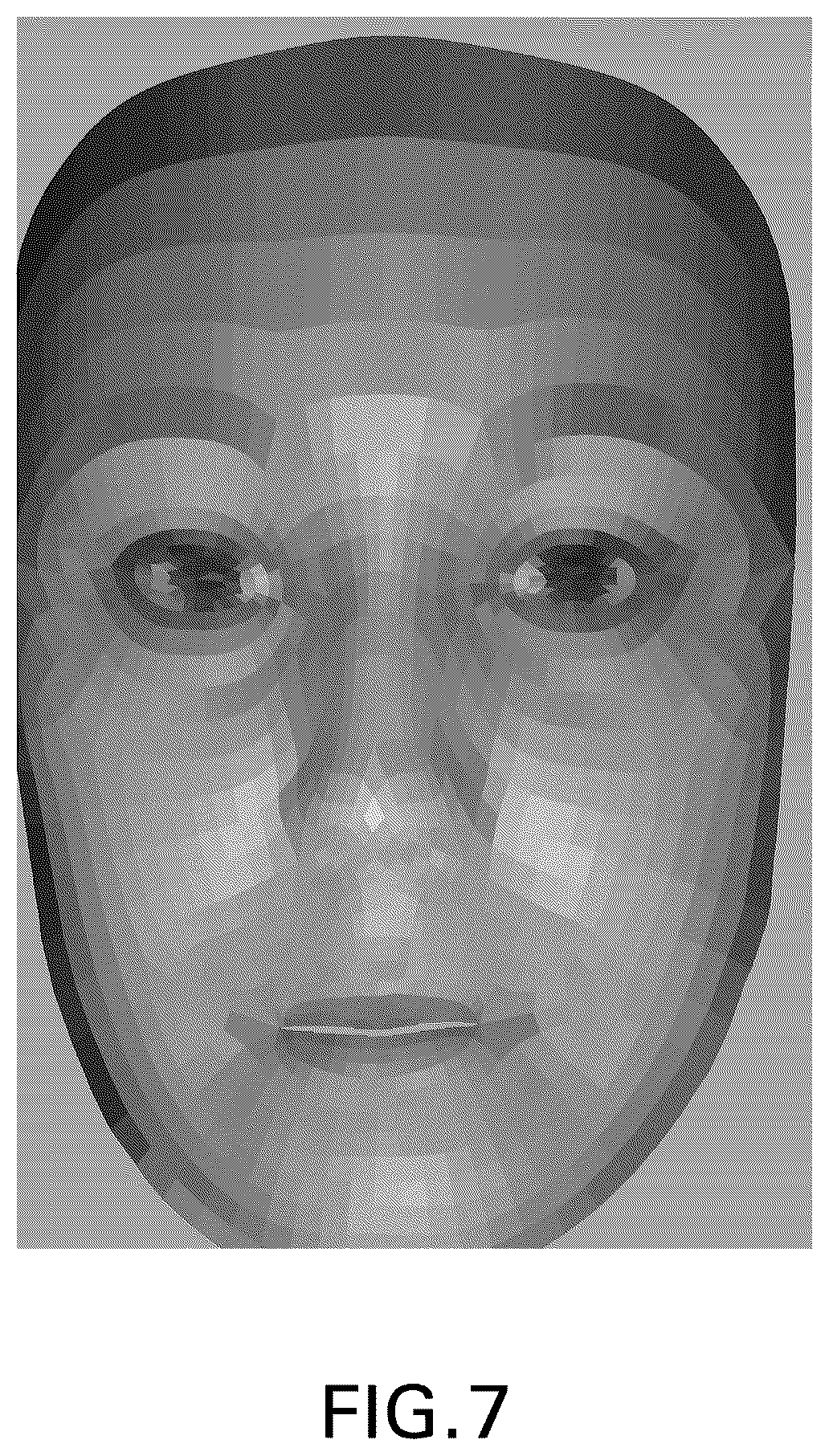 Patent US12098956 Figure 7 – System and method for creation of topical agents with improved image capture