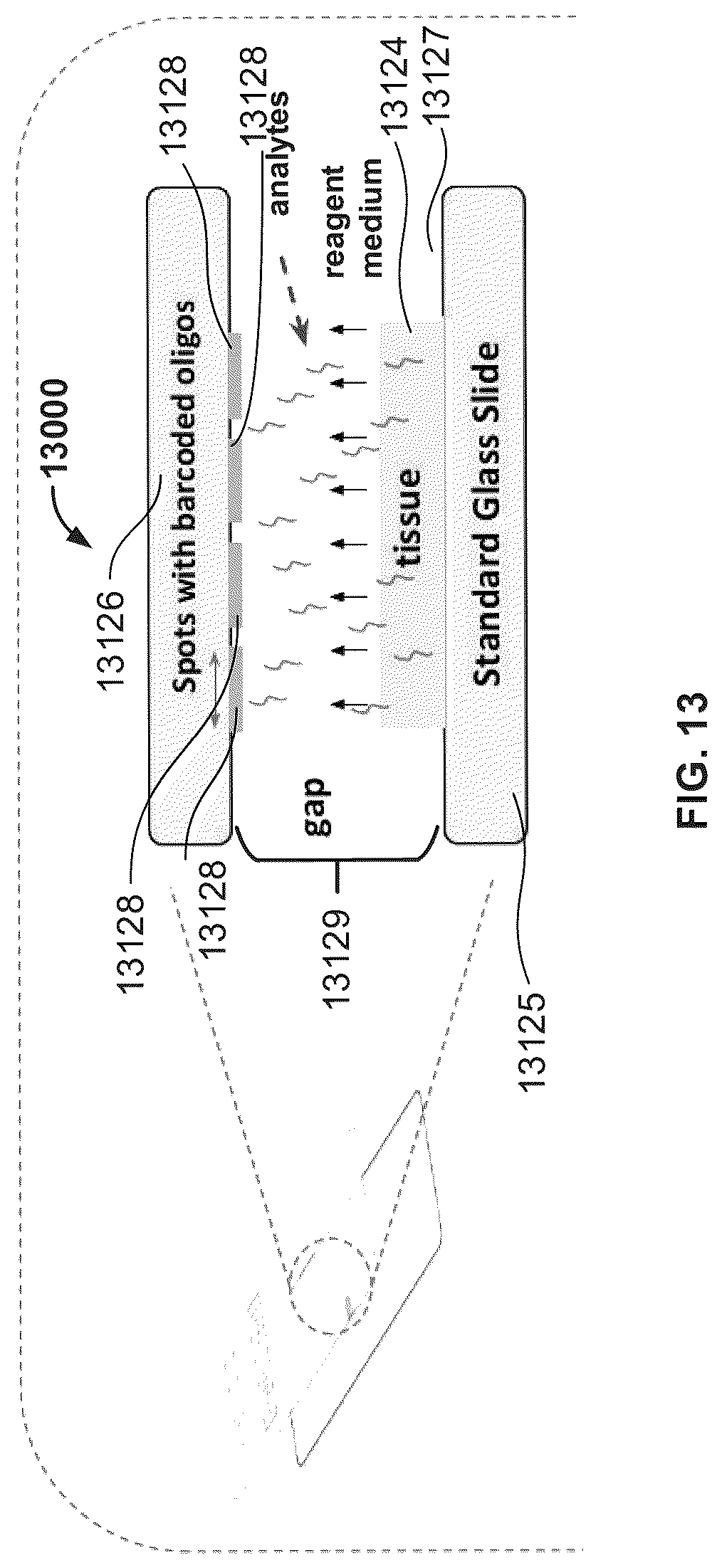 Patent US12098985 Figure 14 – Modular assay support devices