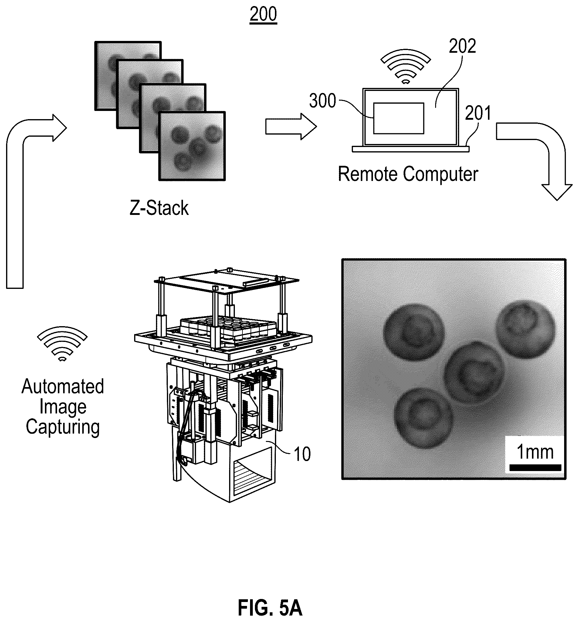 Patent US12099012 Figure 5 – Remote microscopy for biological sciences