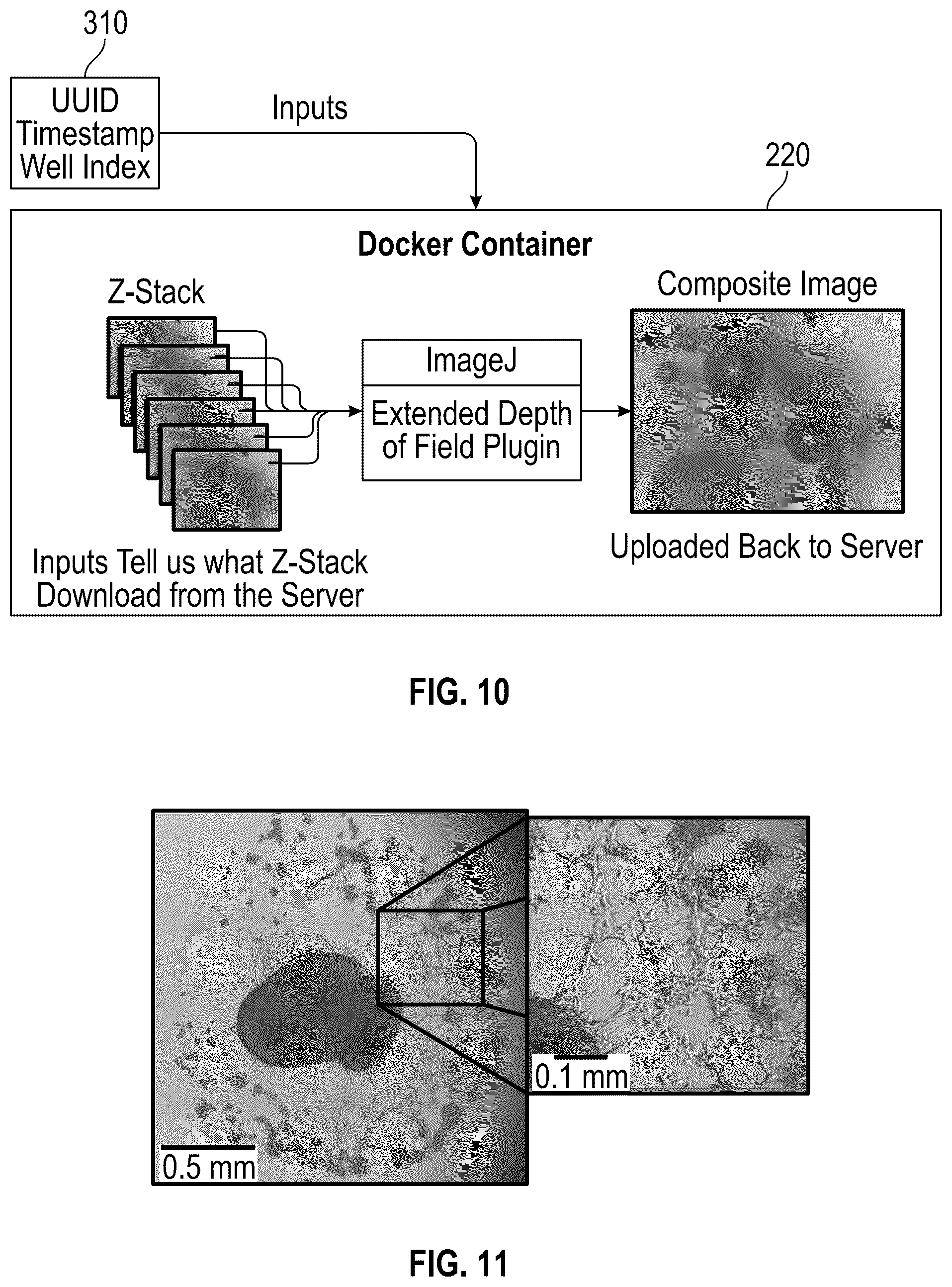 Patent US12099012 Figure 12 – Remote microscopy for biological sciences