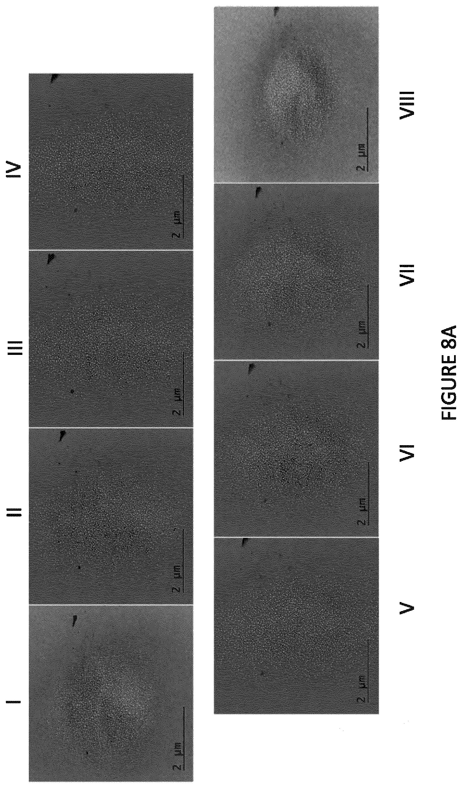 Patent US12099022 Figure 8 – Devices and methods for high angle liquid electron tomography