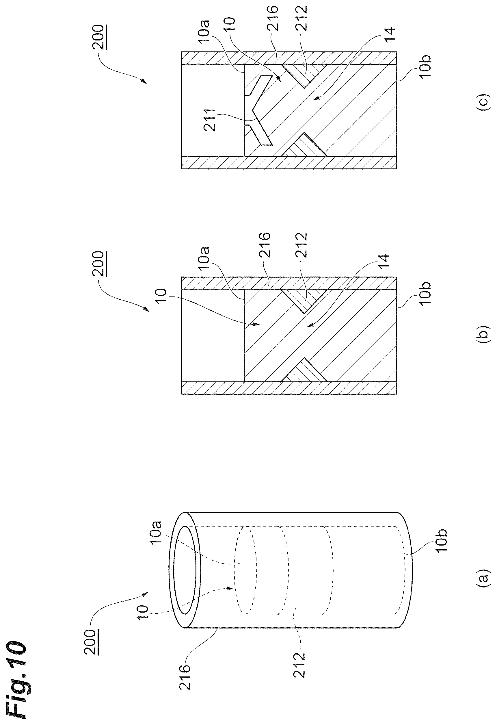 Patent US12099031 Figure 10 – Electrophoresis method, electrophoresis system, and container vessel for electrophoresis