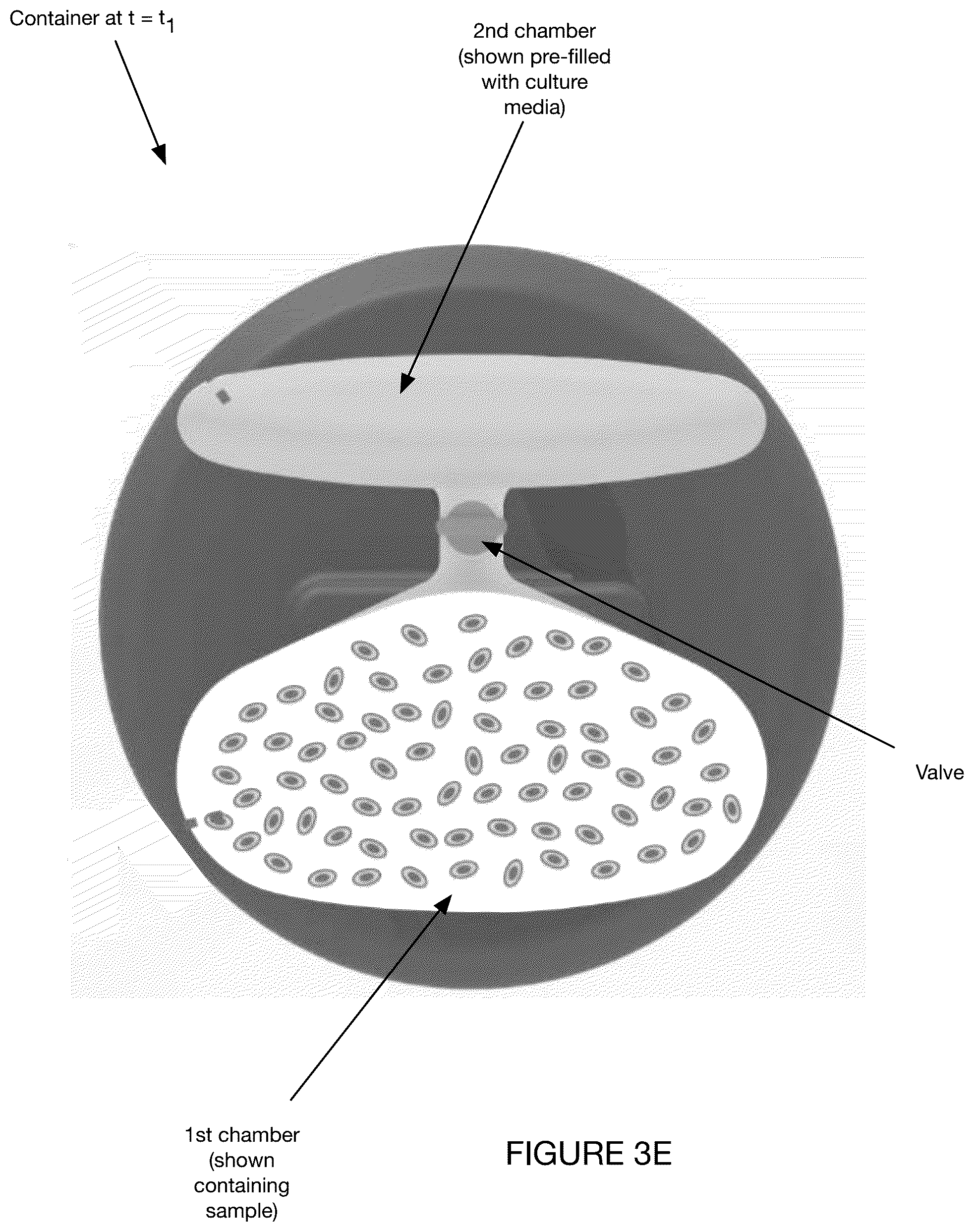 Patent US12099050 Figure 7 – Method and system for partially or fully automated buoyancy-assisted separation