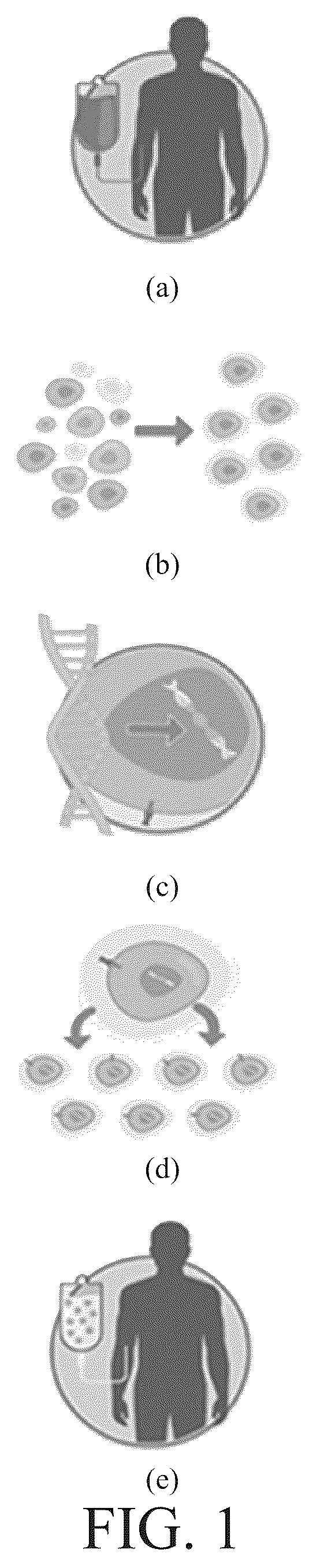 Patent US12099053 — Method of training AI for label-free cell viability determination and label-free cell viability determination method by trained AI — Figure 1