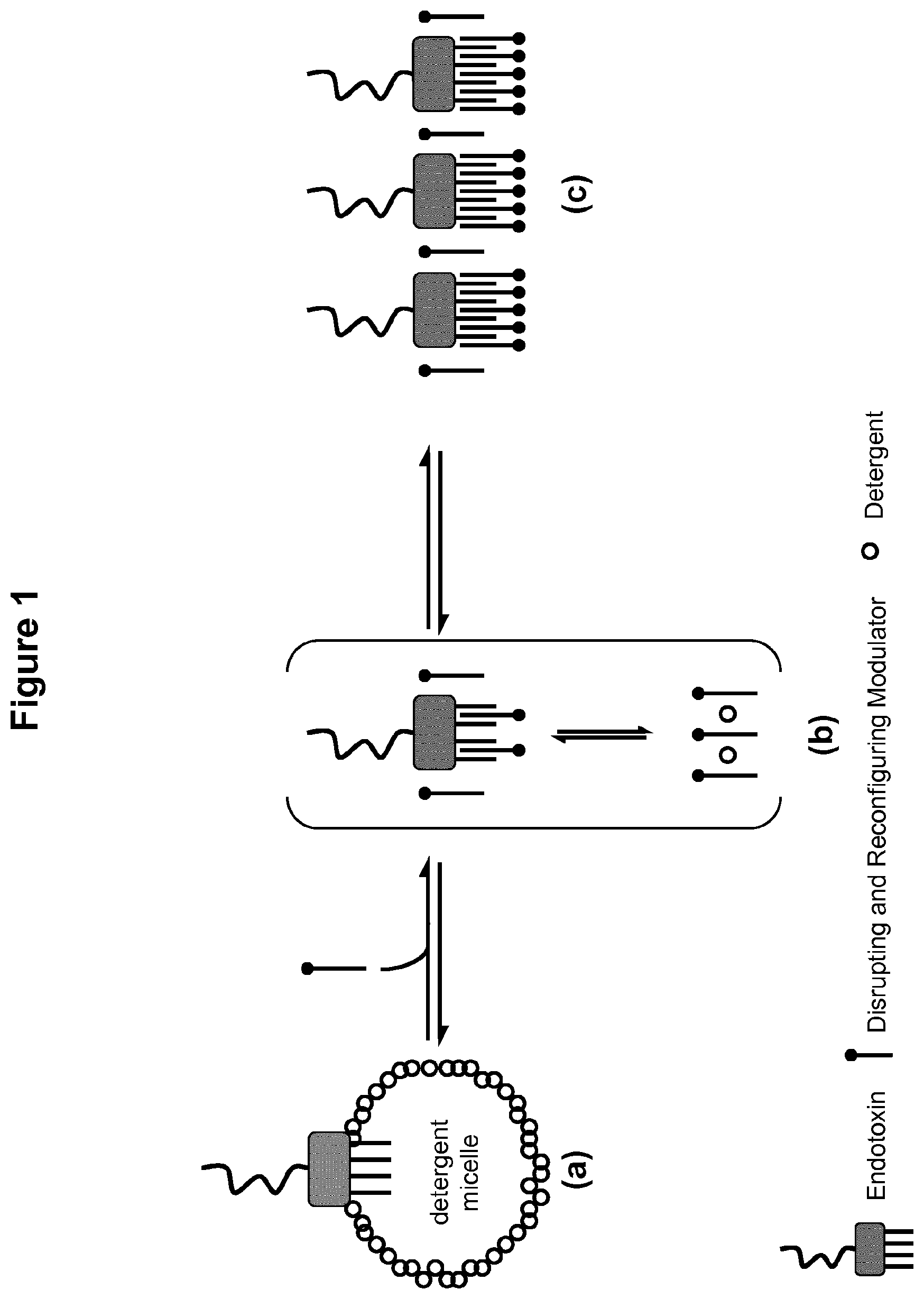 Patent US12099054 Figure 1 – Unmasking endotoxins in solution